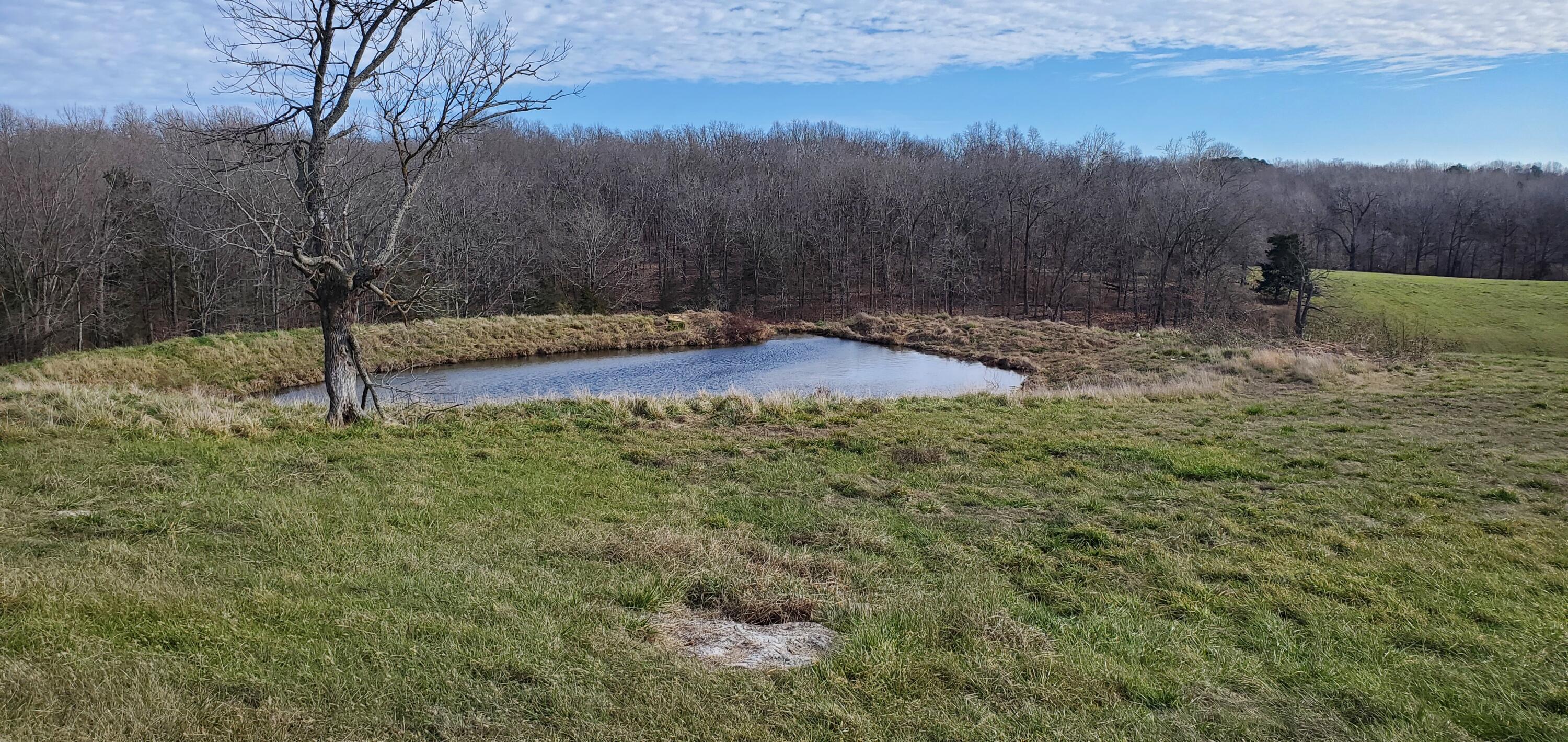 000 State Highway 181 Property Photo 13