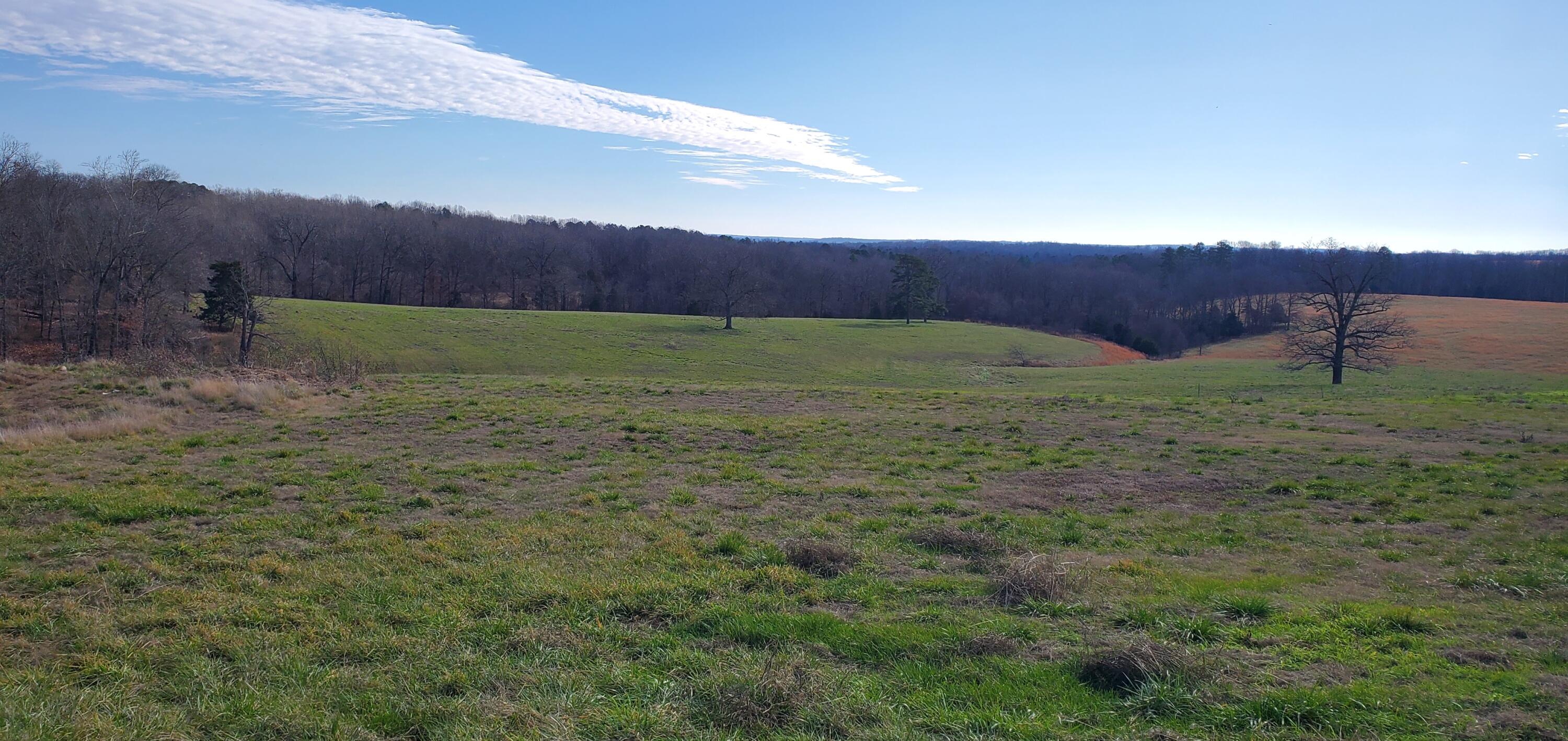 000 State Highway 181 Property Photo 14