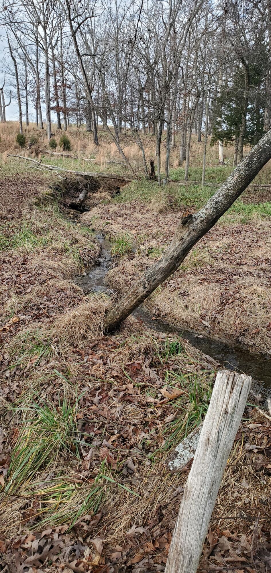 000 State Highway 181 Property Photo 19