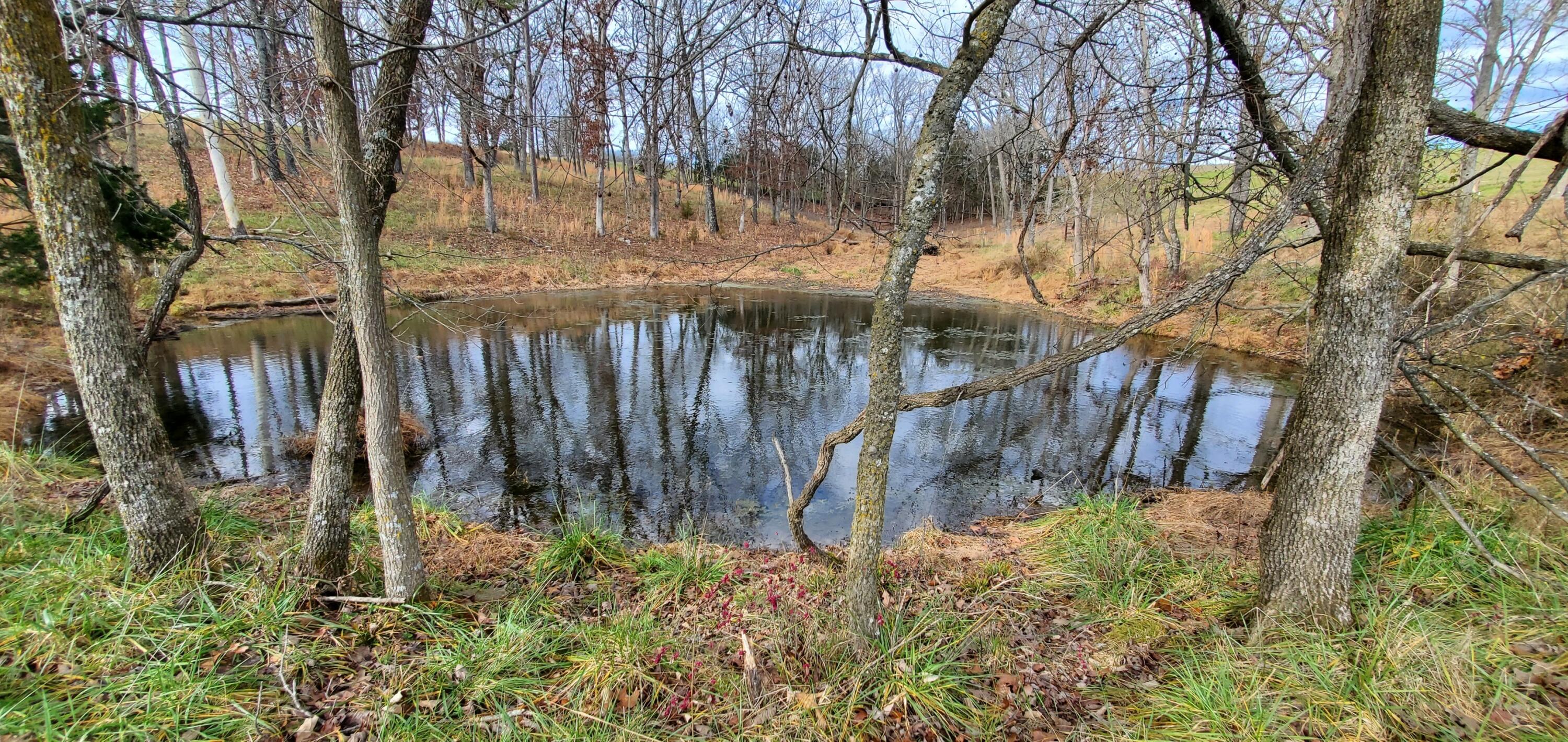 000 State Highway 181 Property Photo 21