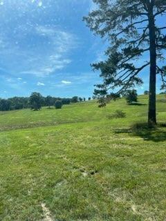 000 State Highway 181 Property Photo 32
