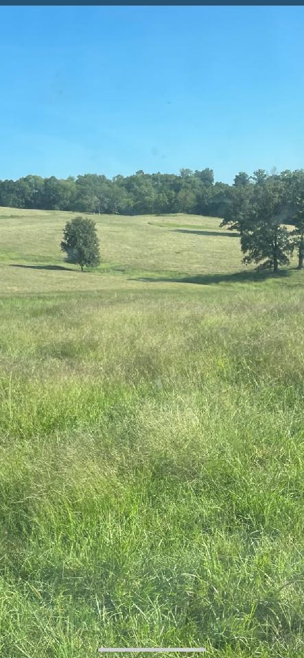 000 State Highway 181 Property Photo 34