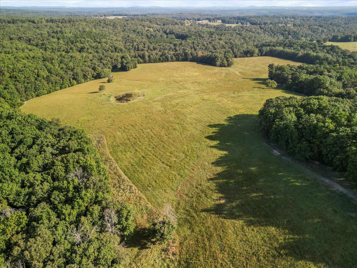 11235 State Highway 181 Property Photo 15