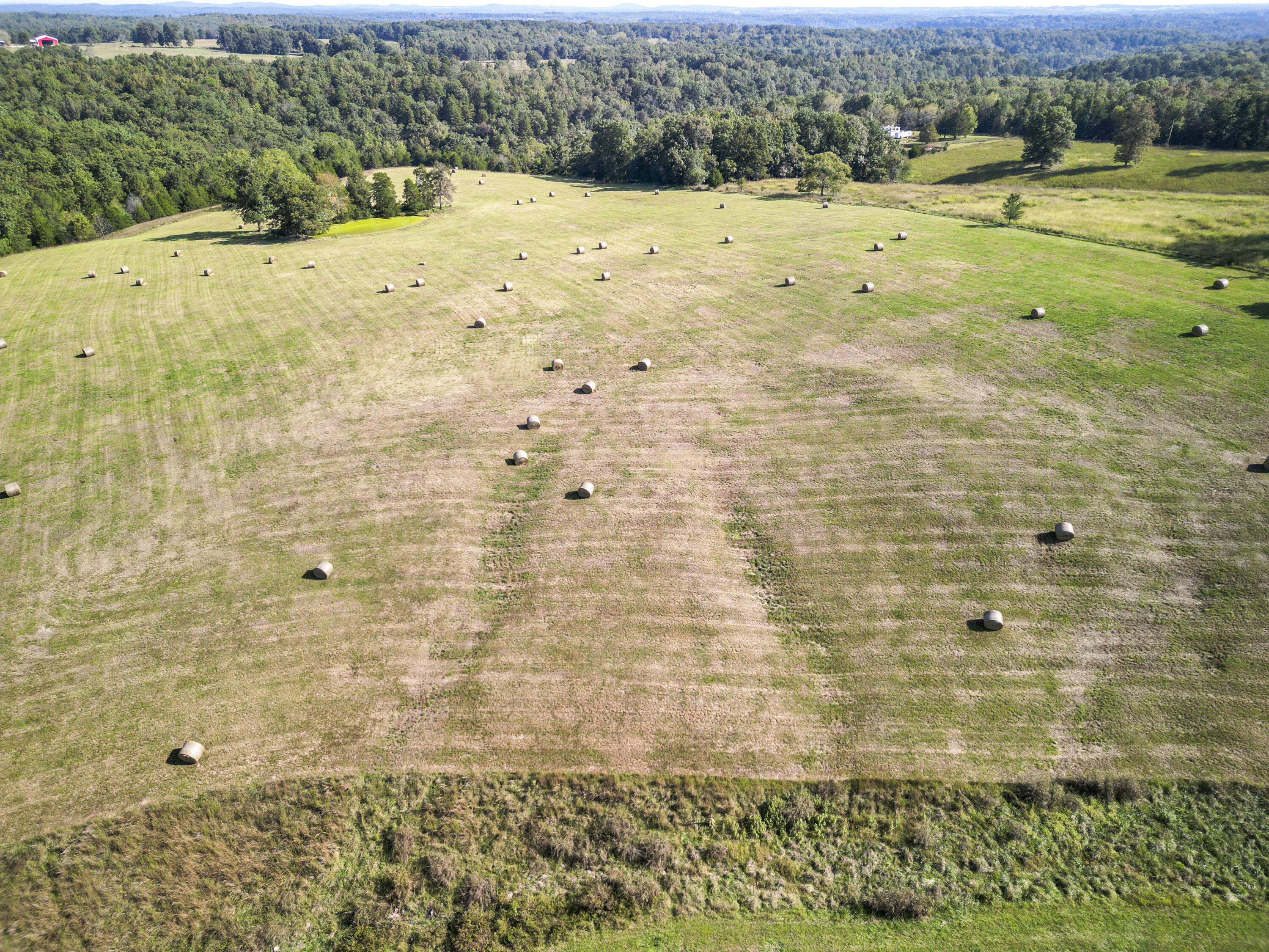 11235 State Highway 181 Property Photo 20