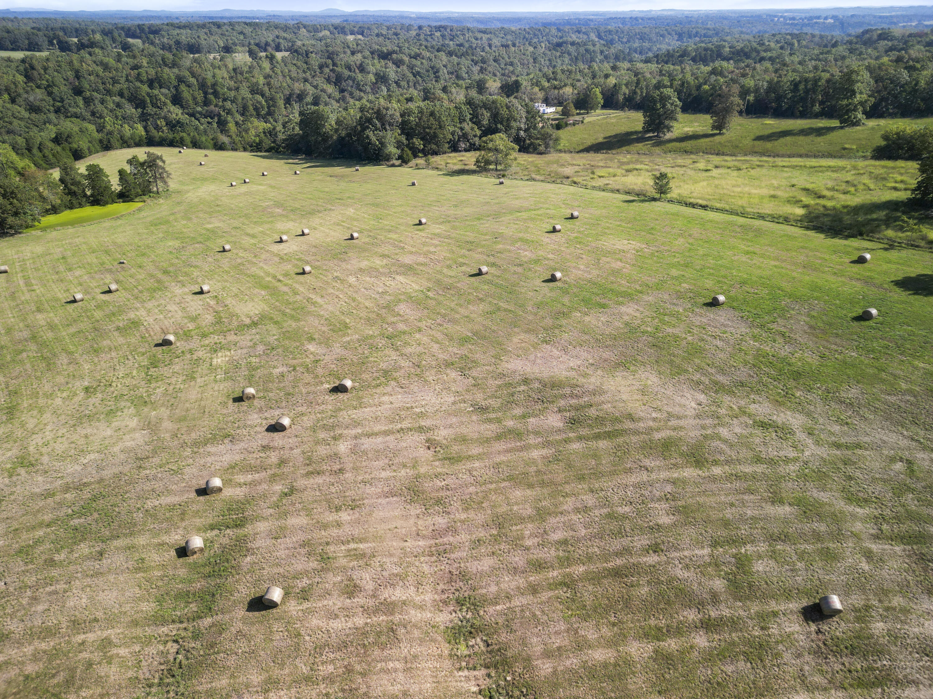11235 State Highway 181 Property Photo 21