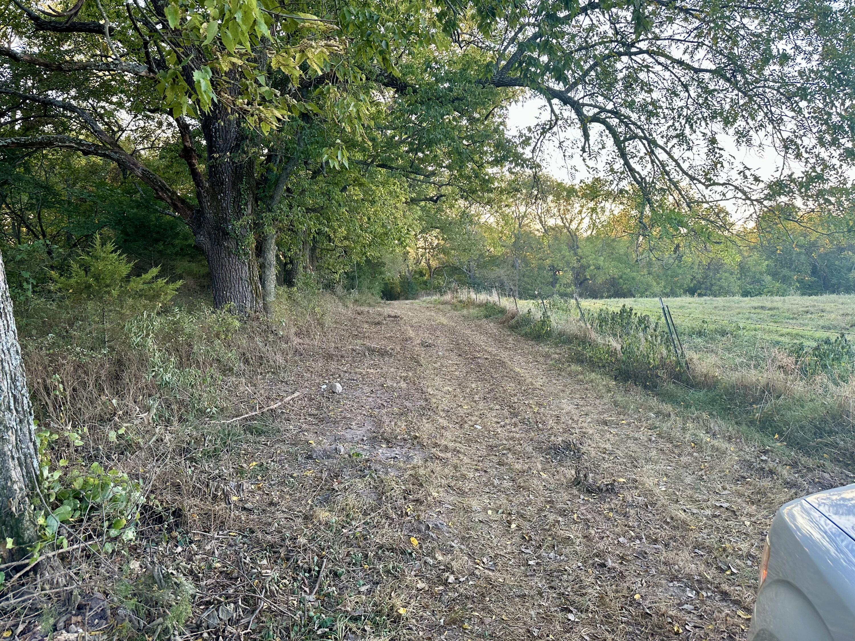 1971 North Hazeltine Road Property Photo 16