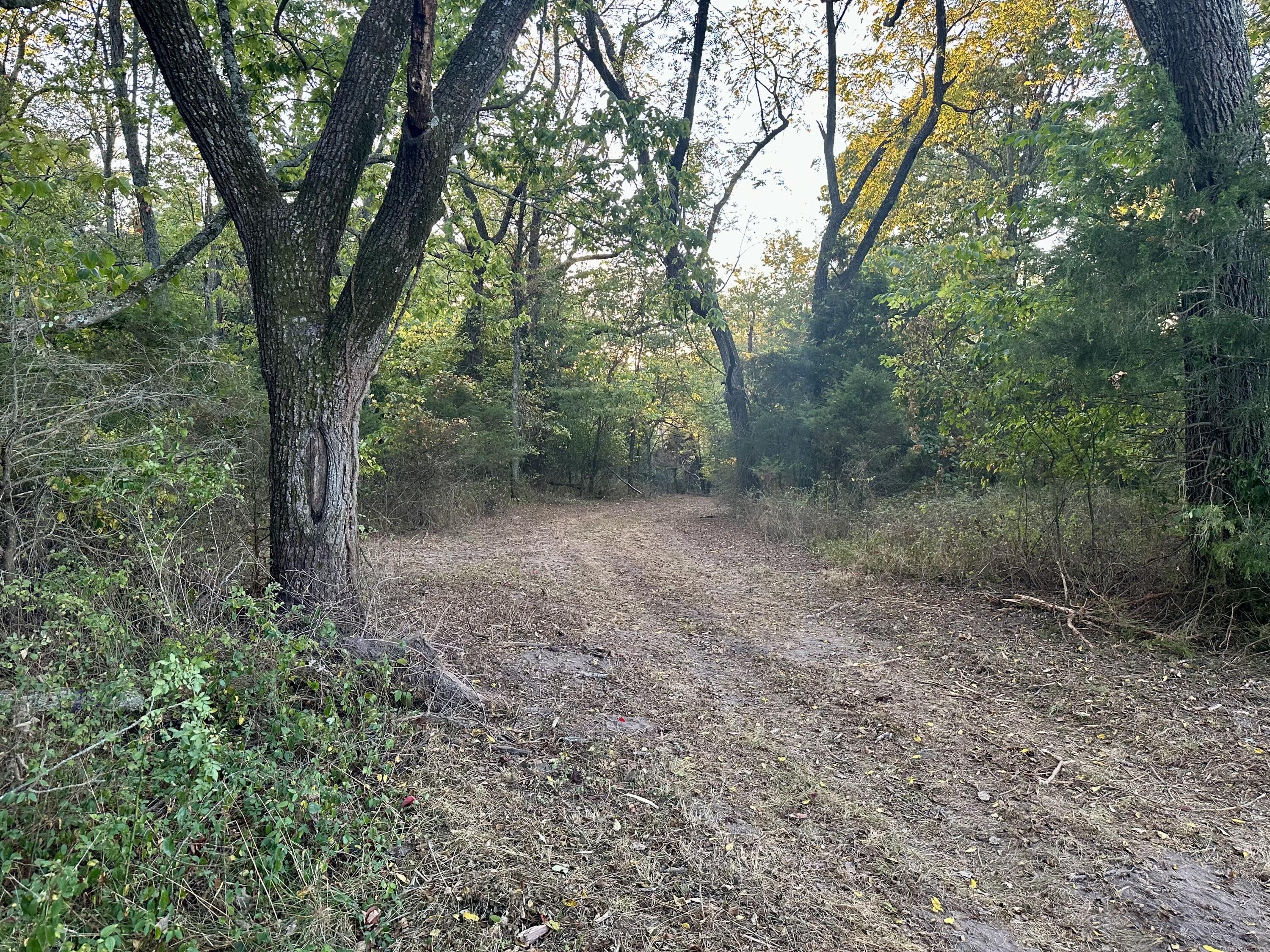 1971 North Hazeltine Road Property Photo 17