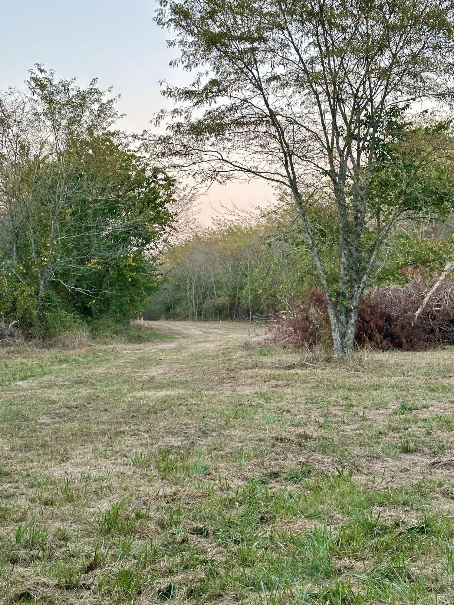 1971 North Hazeltine Road Property Photo 23