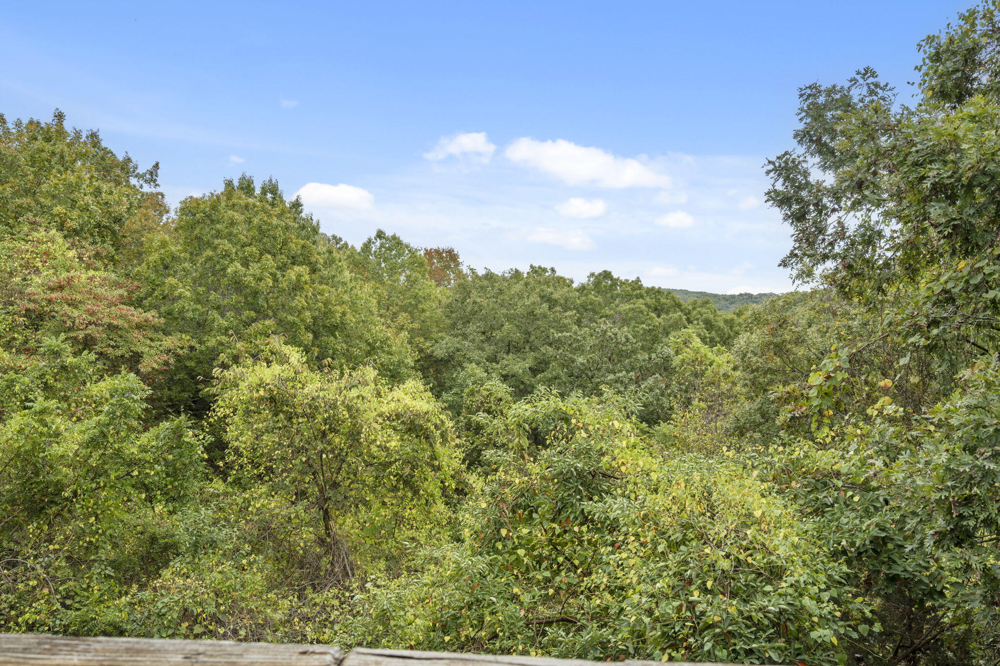 26 Sinatra Court Property Photo 24
