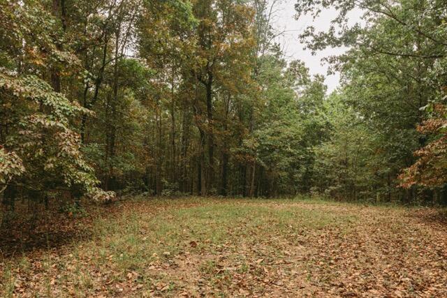 000 County Road 417 Property Photo 5