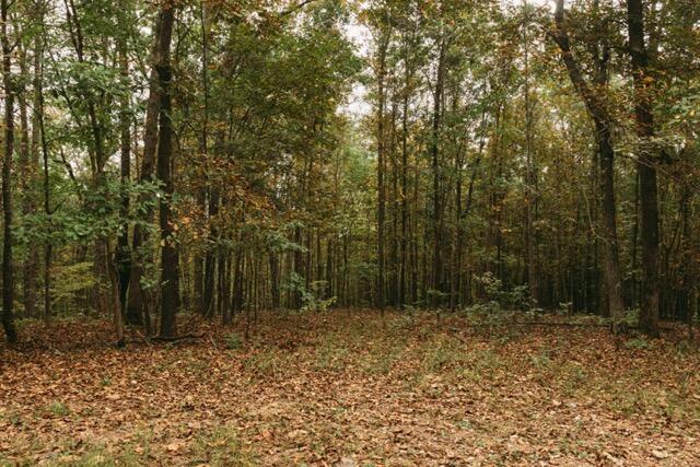 000 County Road 417 Property Photo 7