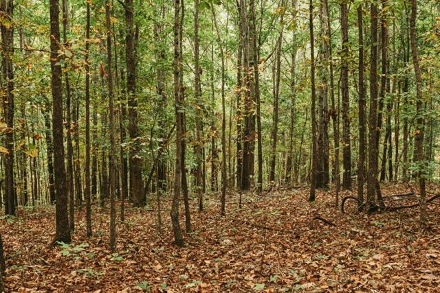 000 County Road 417 Lot 1 Property Photo