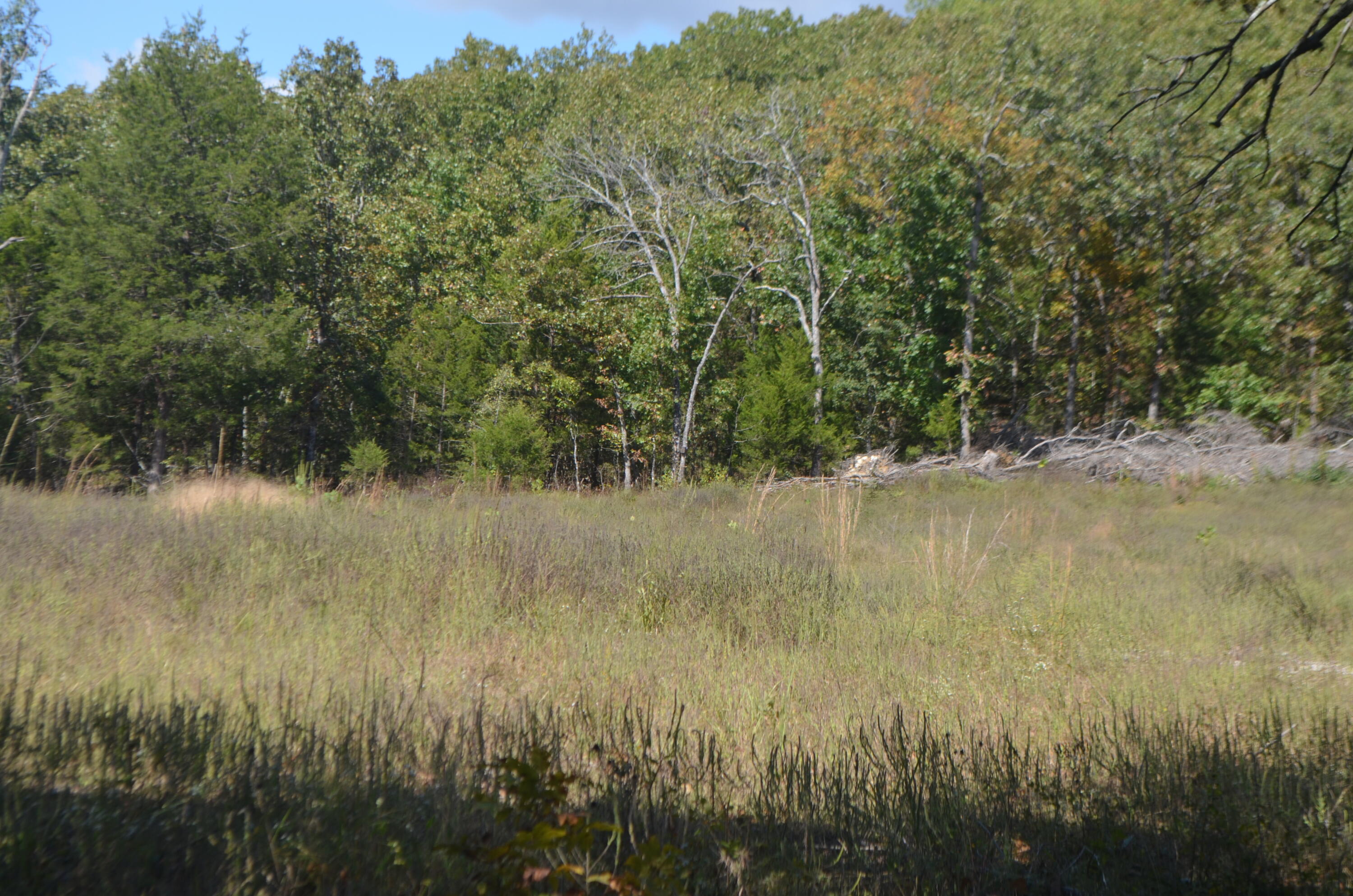 Lot 26-2 & 26-3 High View Circle Property Photo 7