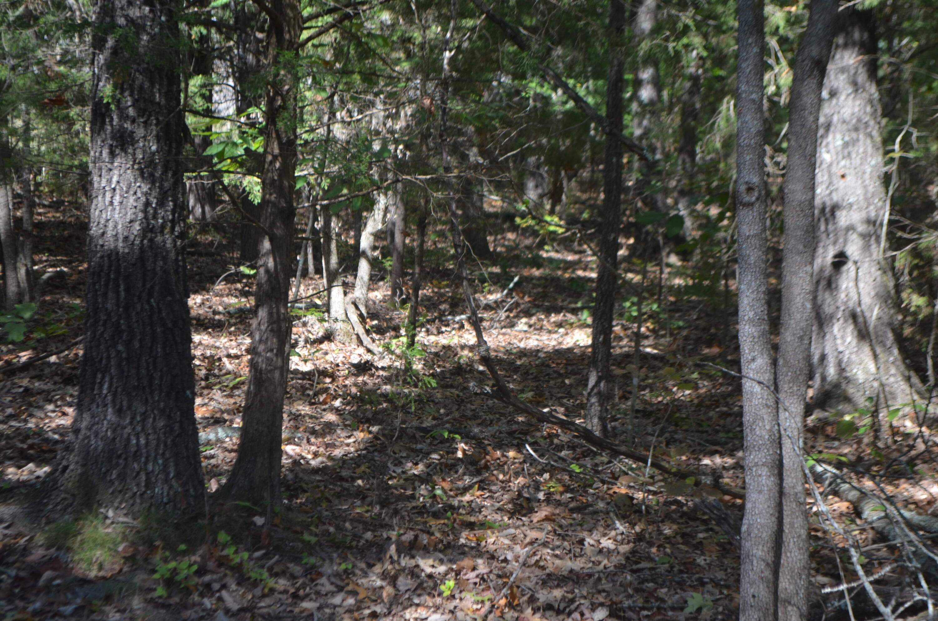 Lot 26-2 & 26-3 High View Circle Property Photo 8