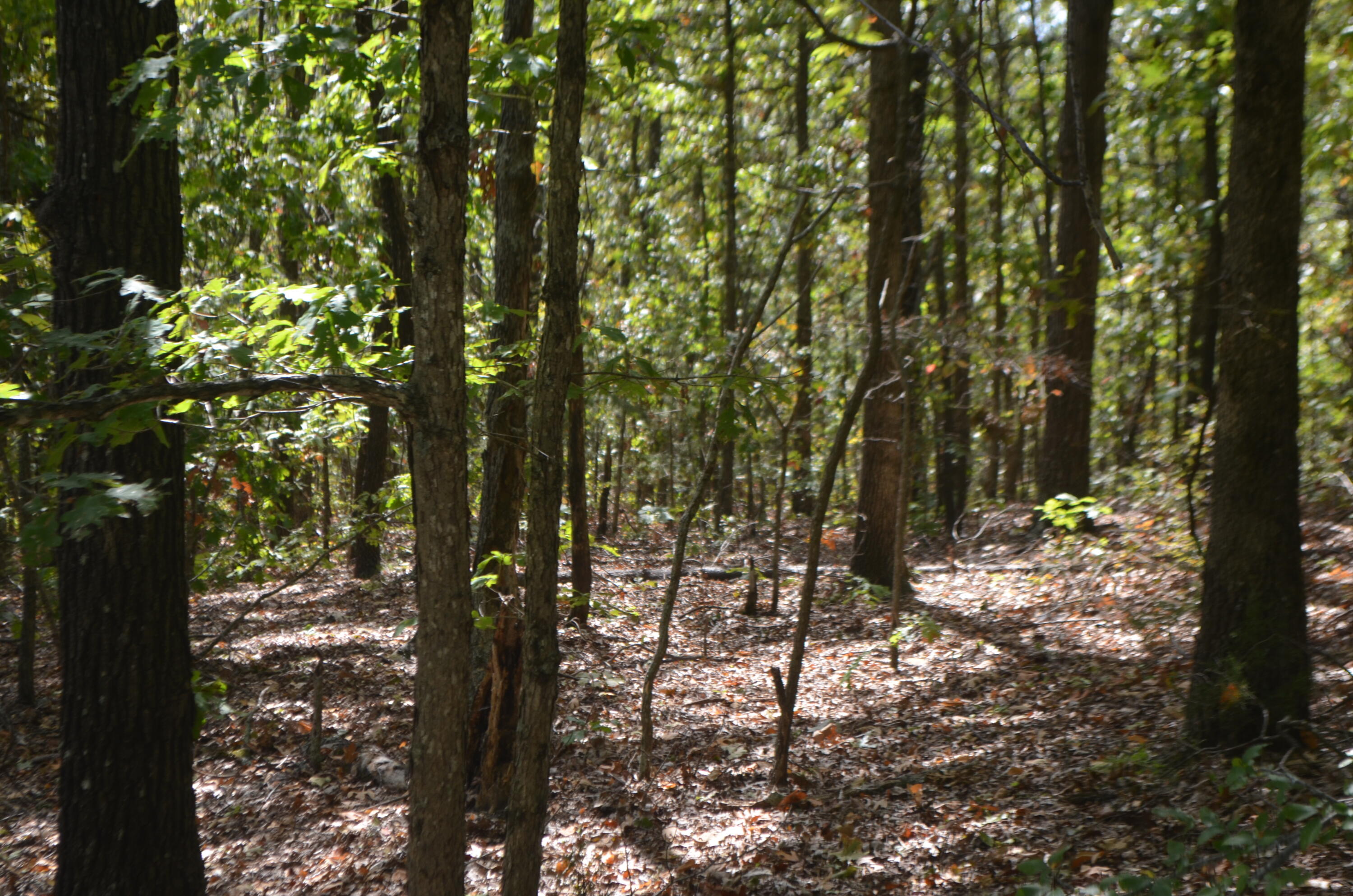 Lot 26-2 & 26-3 High View Circle Property Photo 9