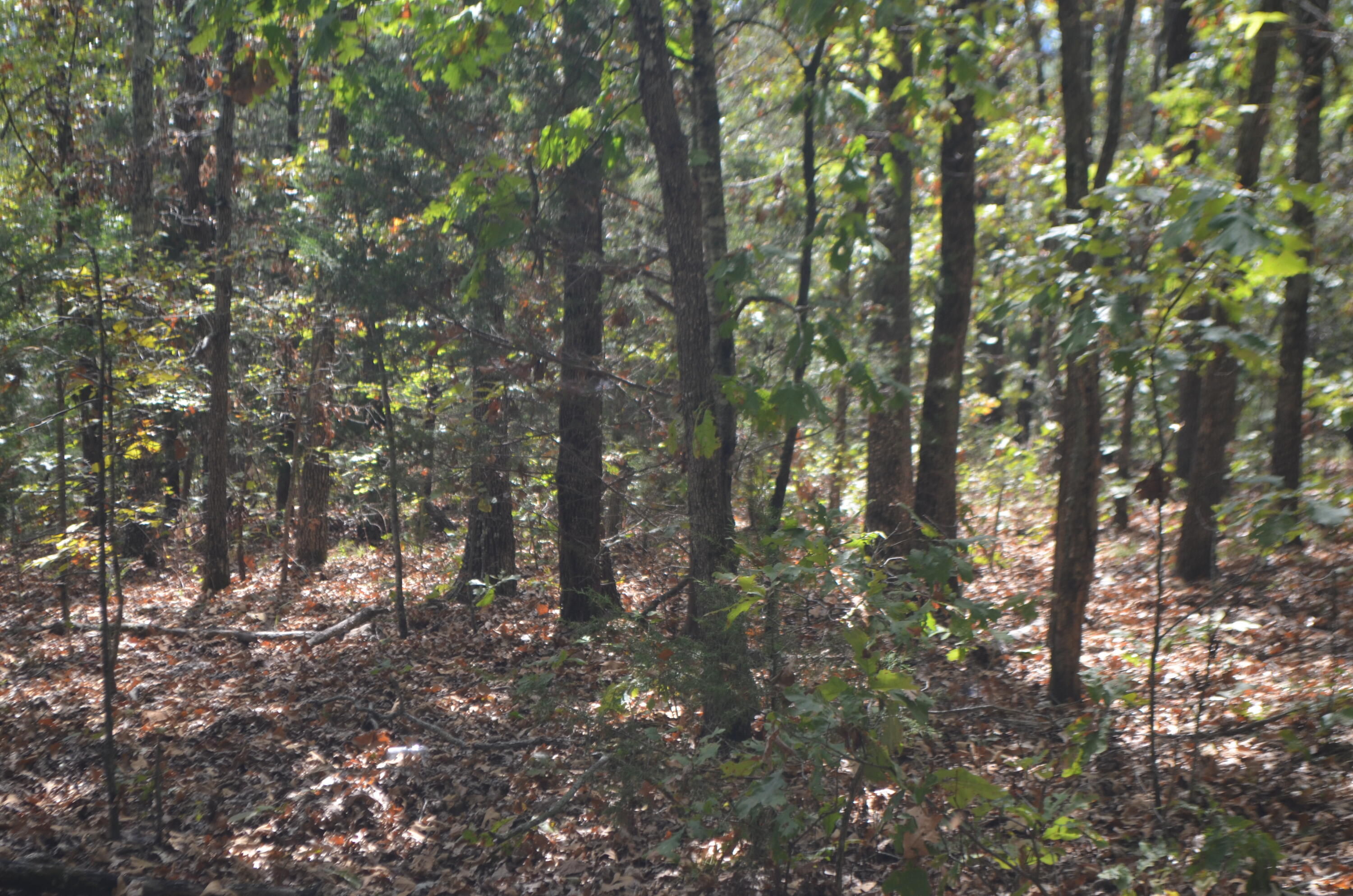 Lot 26-2 & 26-3 High View Circle Property Photo 10