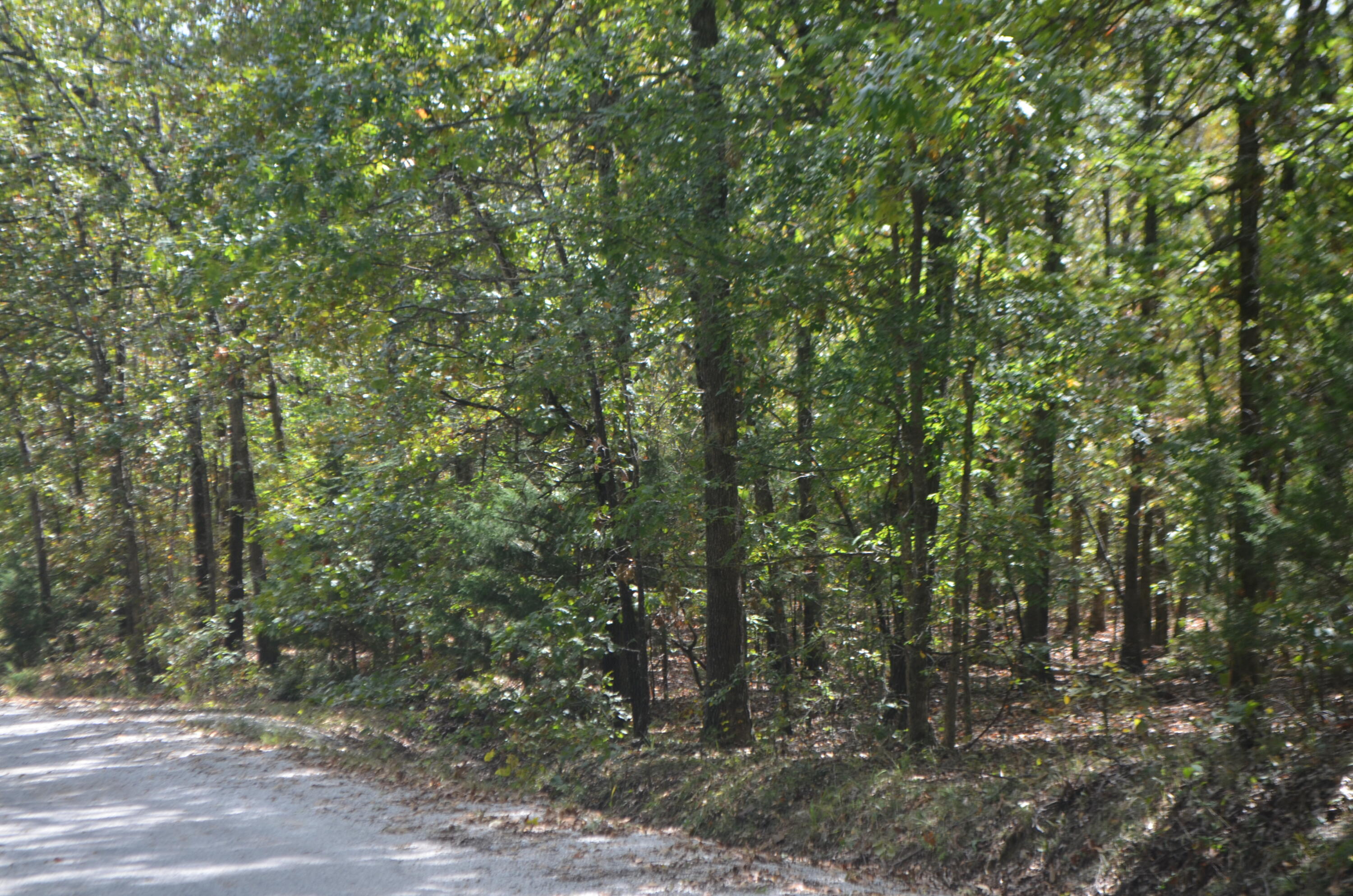 Lot 26-2 & 26-3 High View Circle Property Photo 12