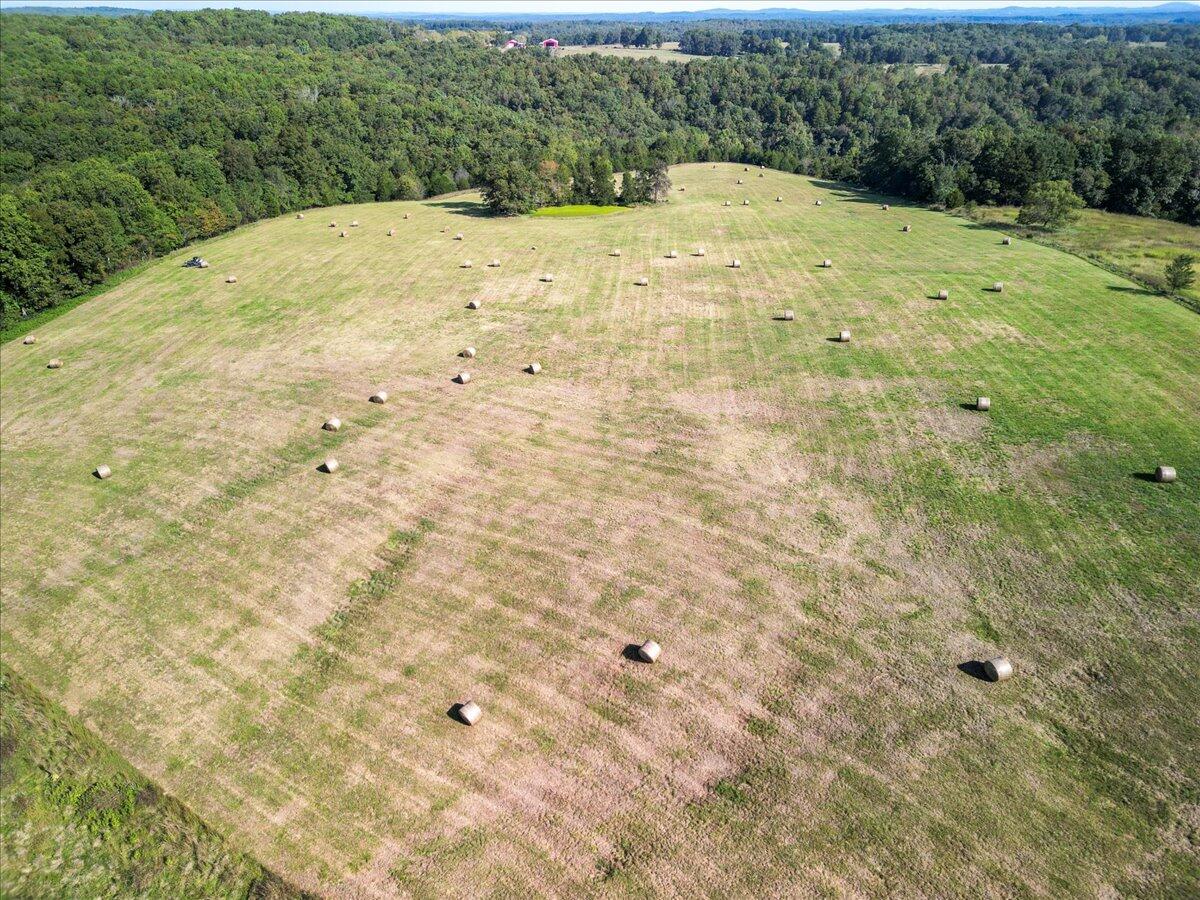 000 State Highway 181 Property Photo 3