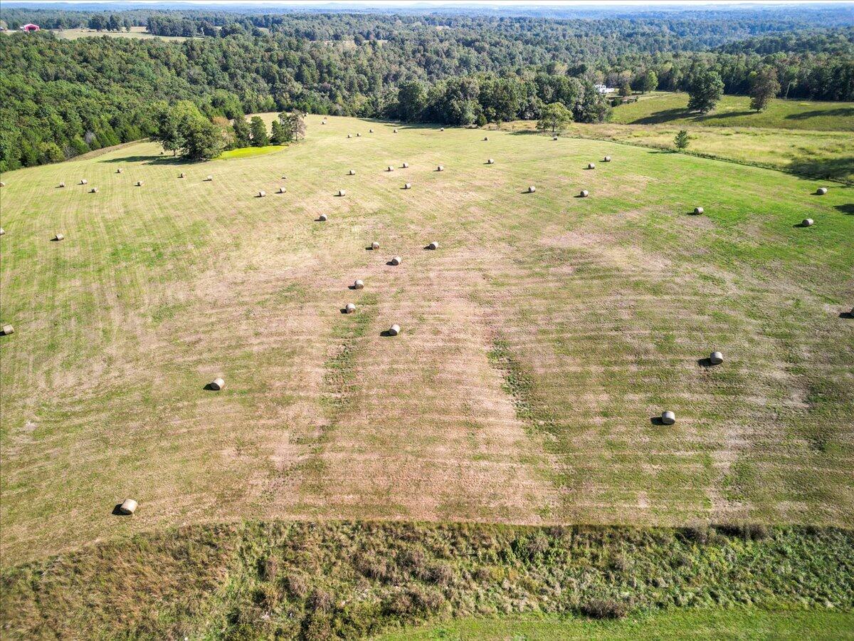 000 State Highway 181 Property Photo 4