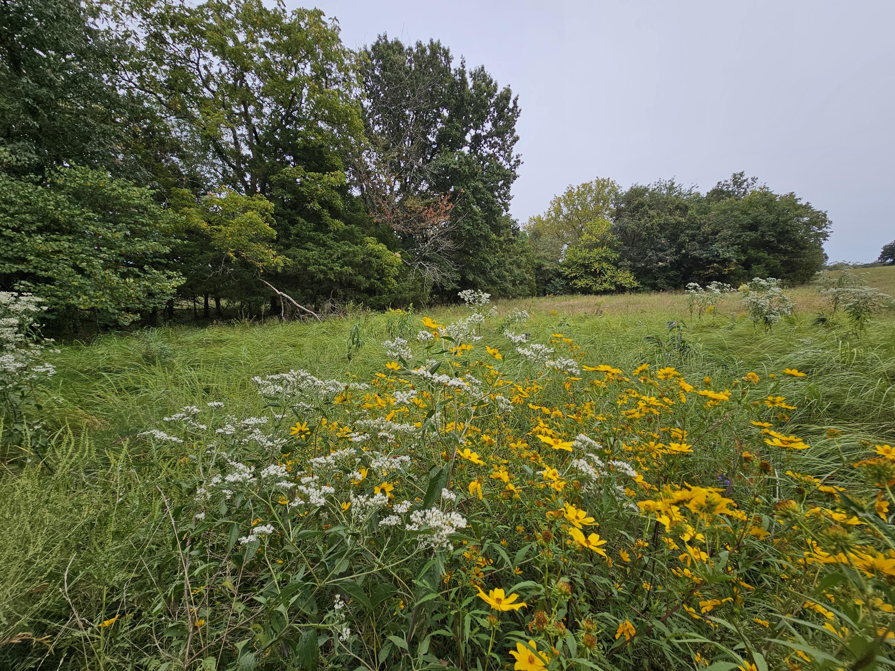 Lot 4 East 420th Road East Property Photo