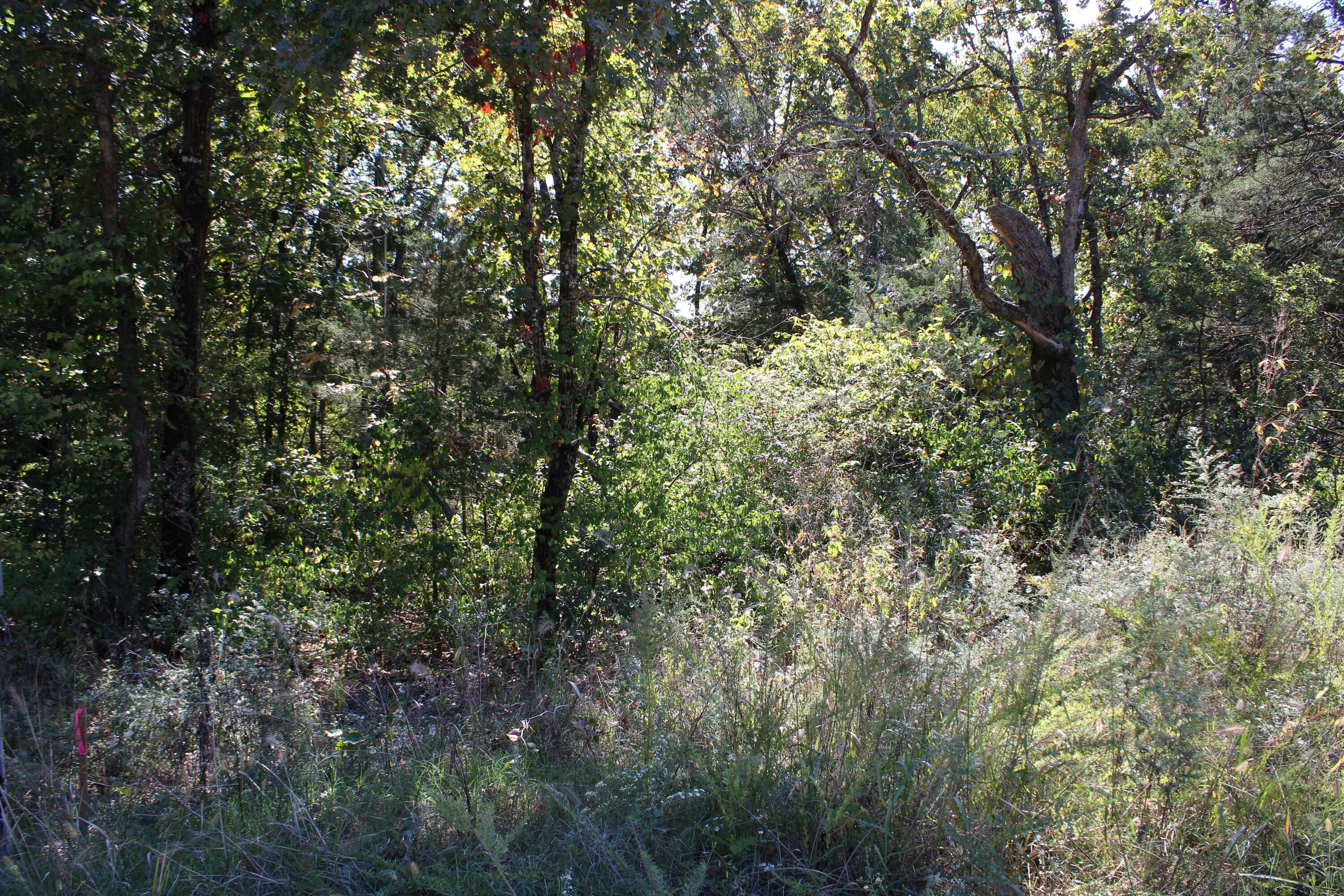 4044 Red Oak Road Lot 62 Property Photo 4