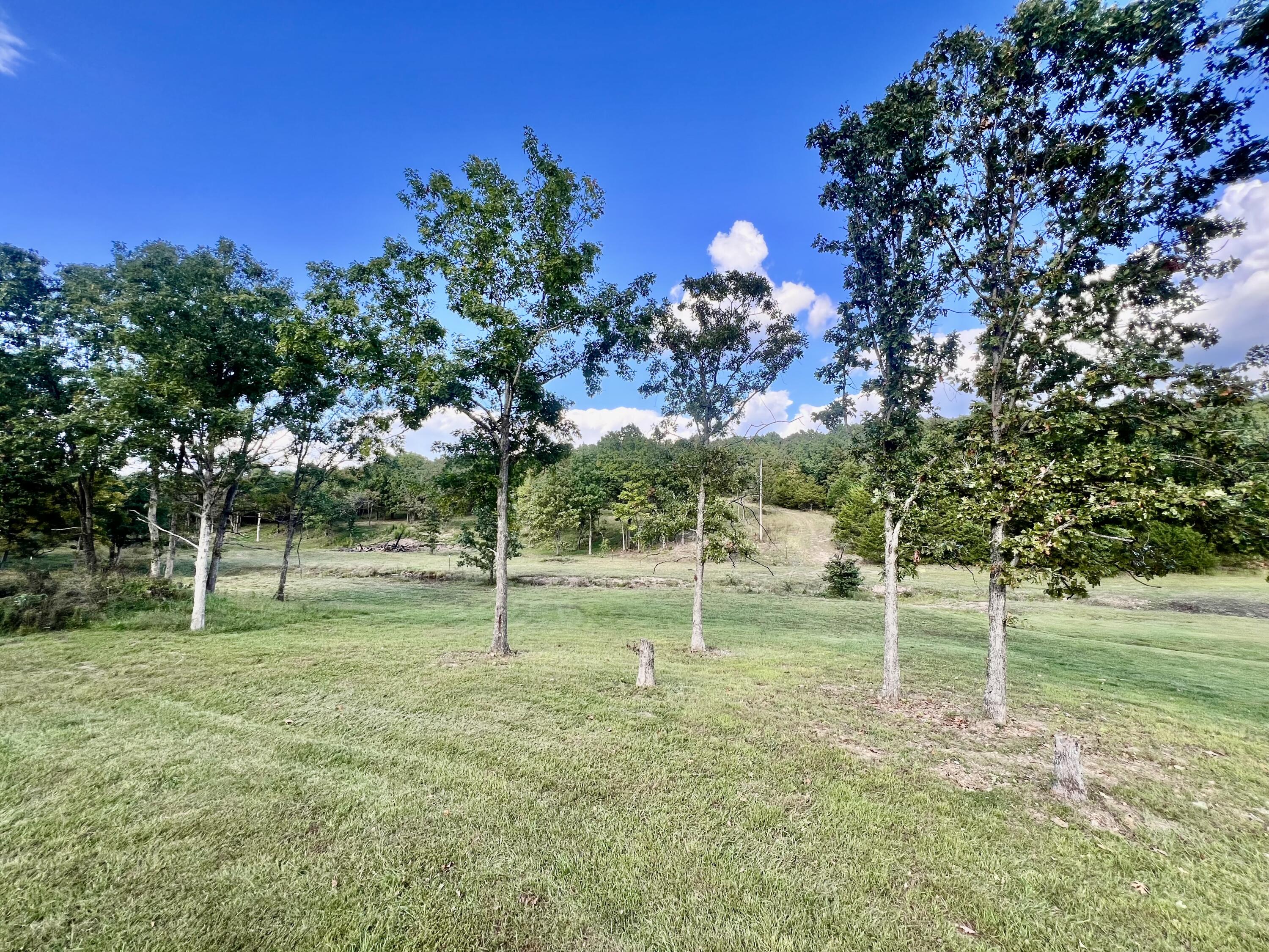 8593 Highway 17 Property Photo 51