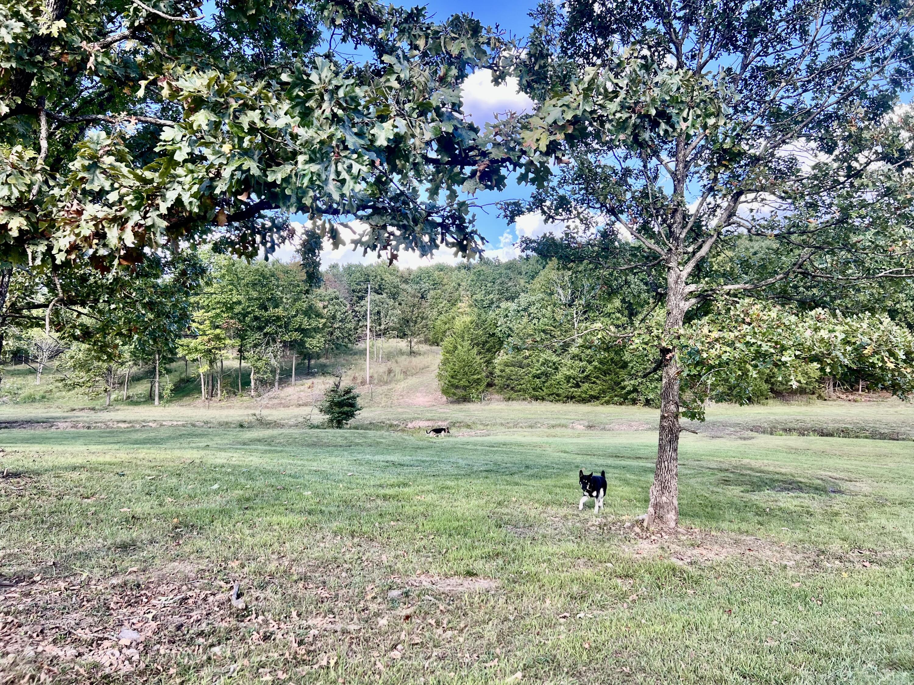 8593 Highway 17 Property Photo 52