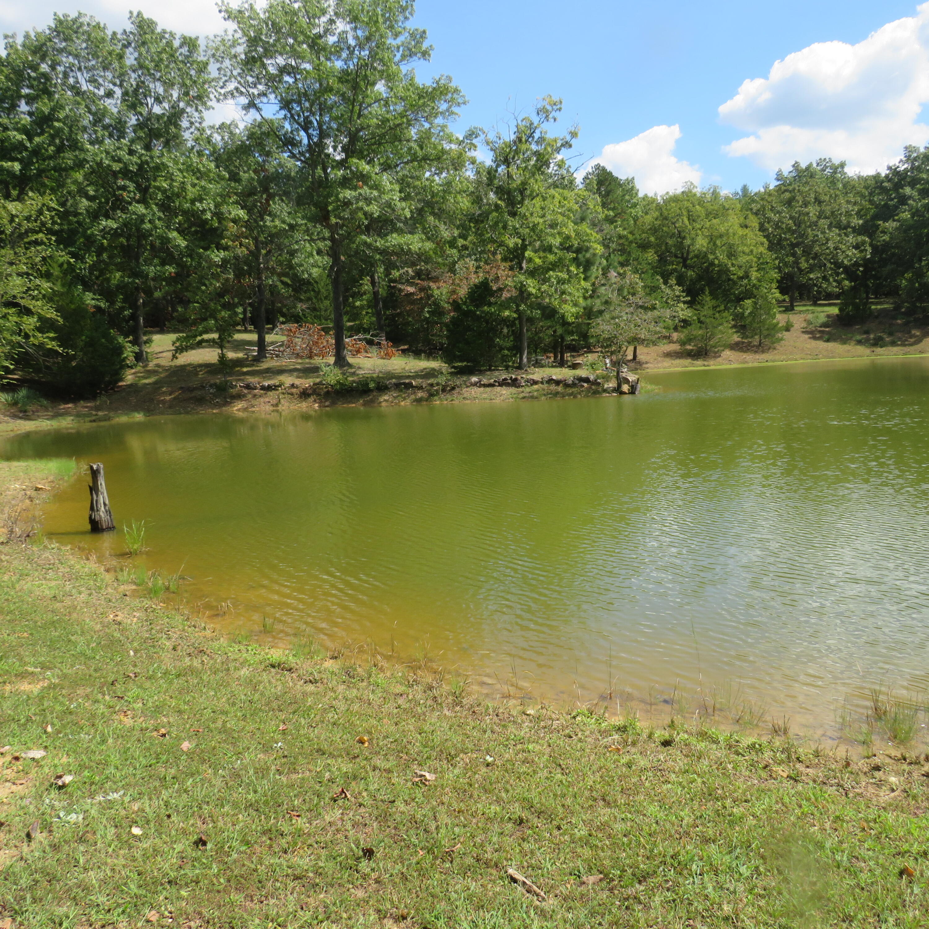 8303 Us Highway 160 Property Photo 14