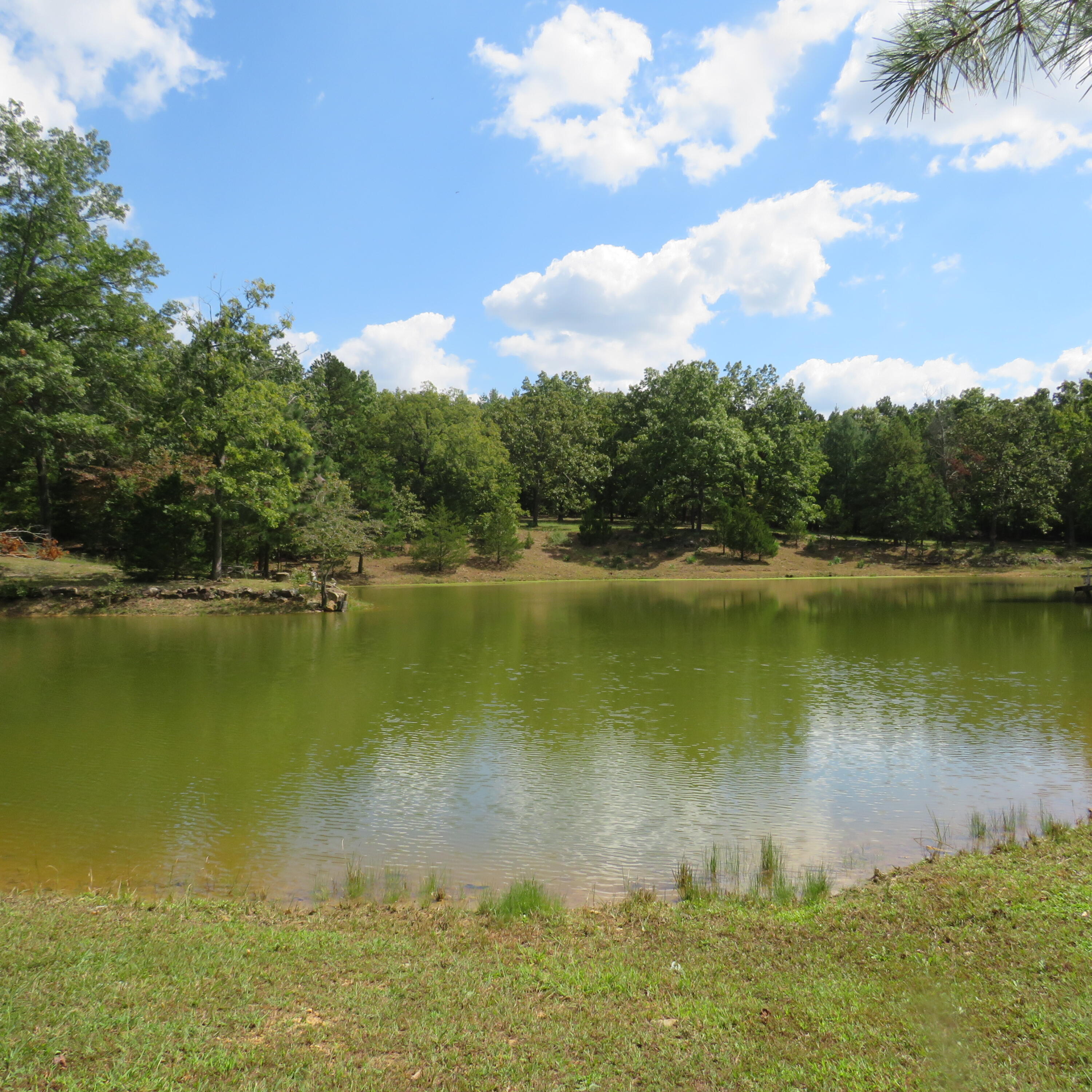 8303 Us Highway 160 Property Photo 16