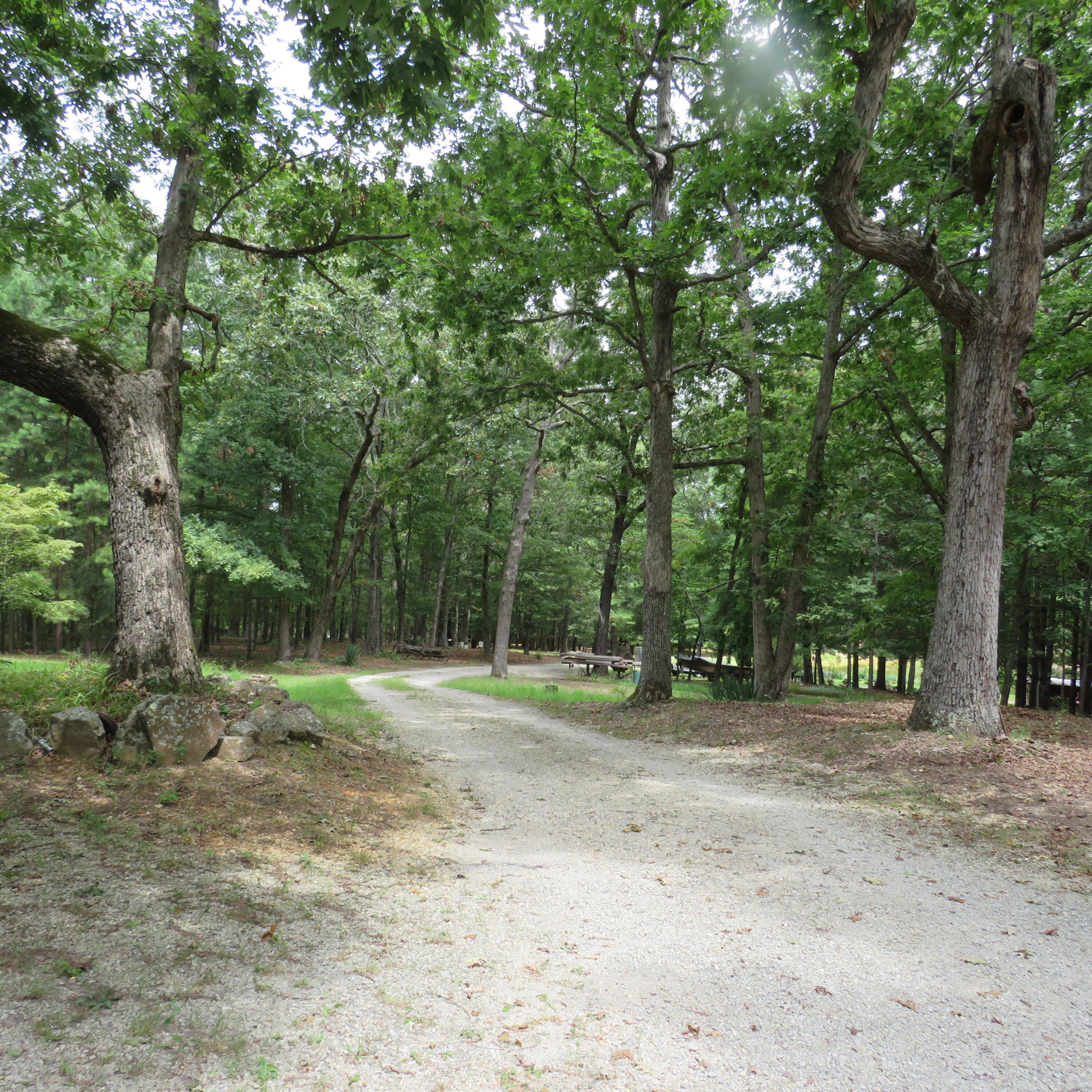 8303 Us Highway 160 Property Photo 28
