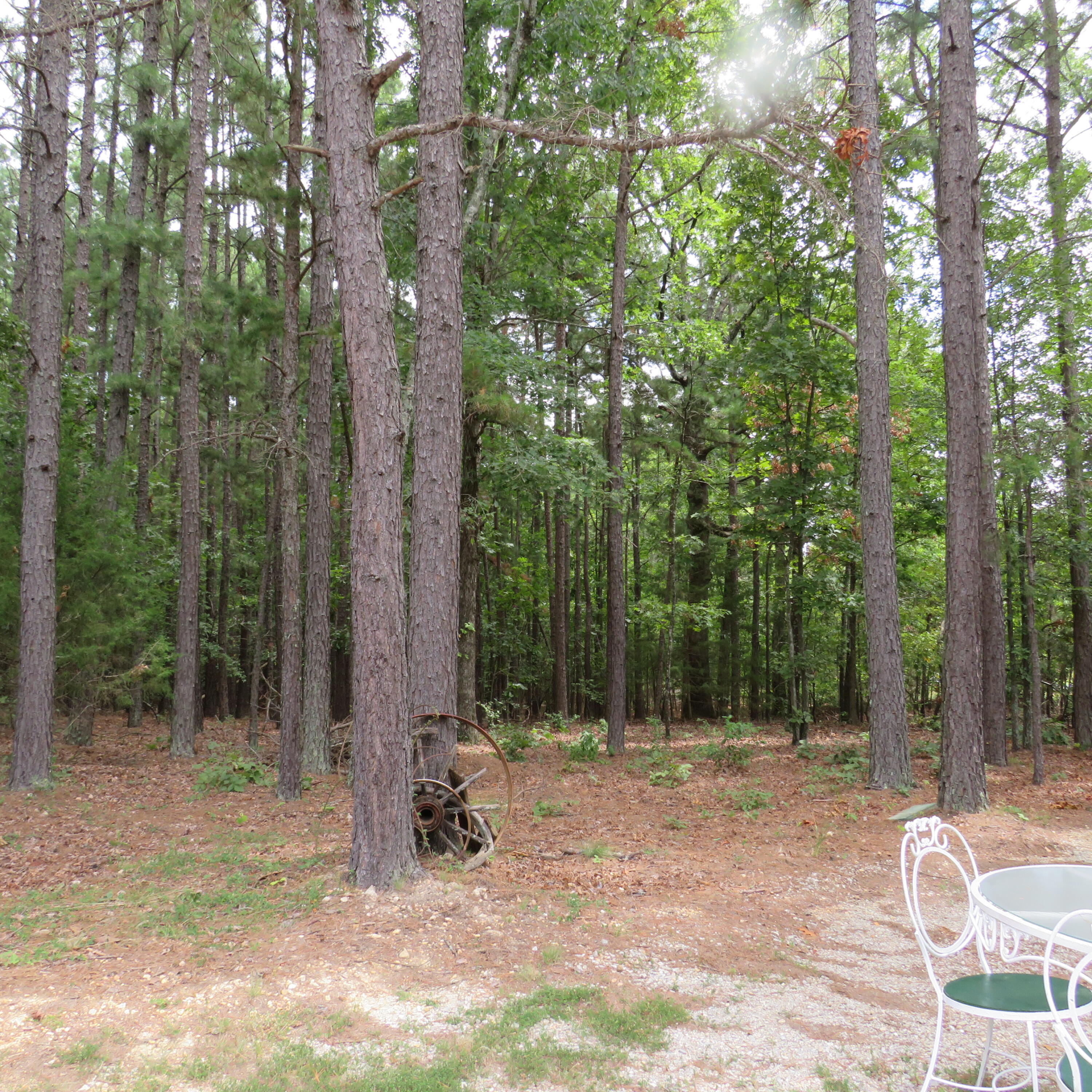 8303 Us Highway 160 Property Photo 30