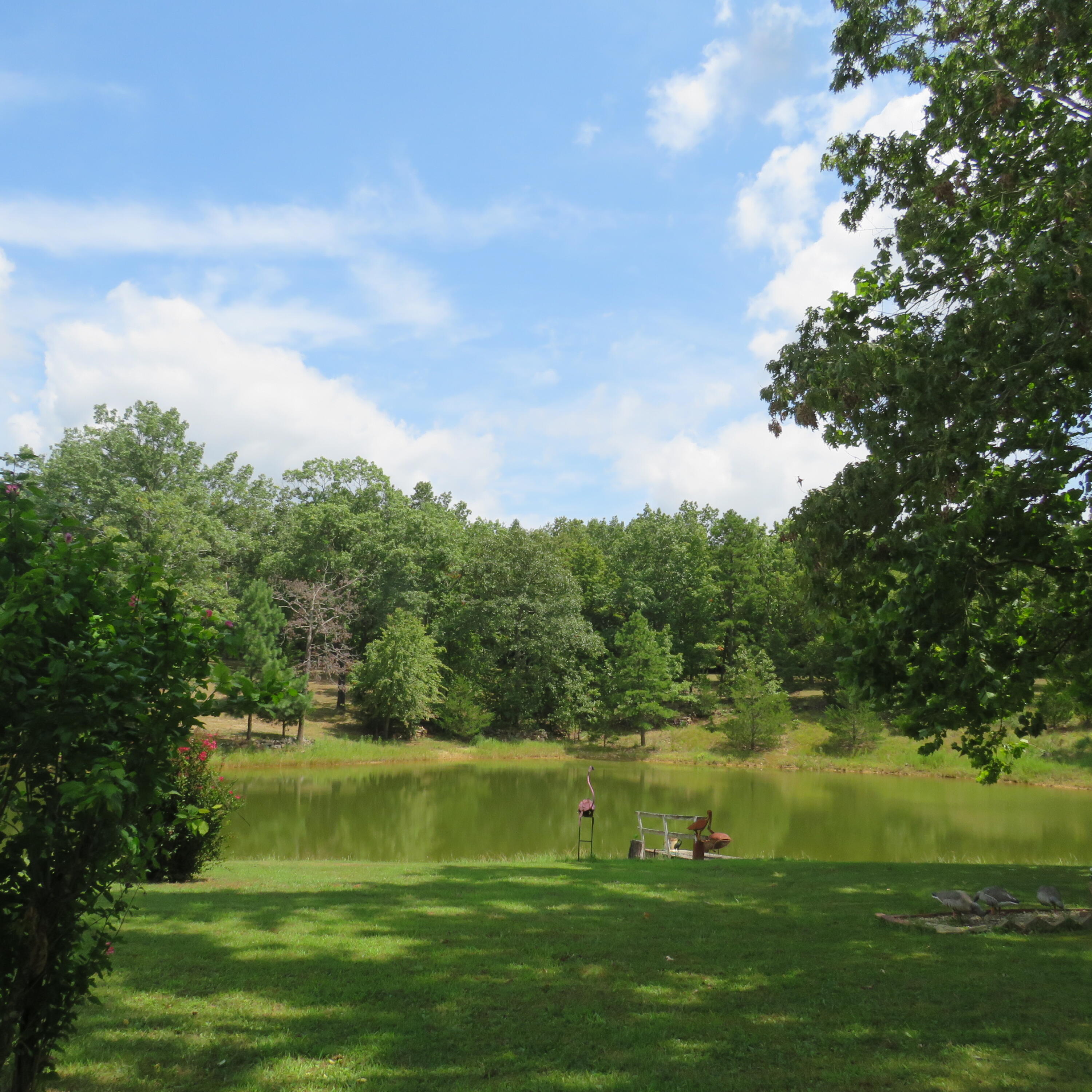 8303 Us Highway 160 Property Photo 62
