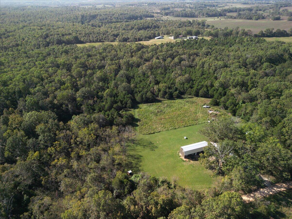 8878 County Road 1740 Property Photo 25