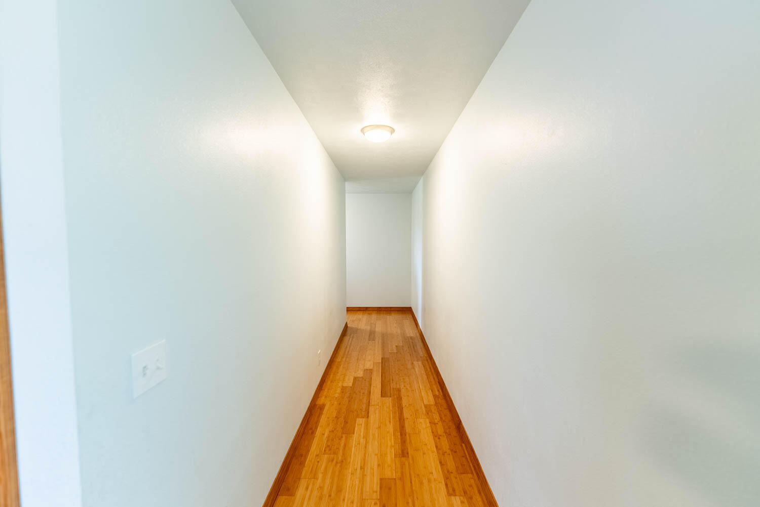 966 Nettleton Avenue Property Photo 17