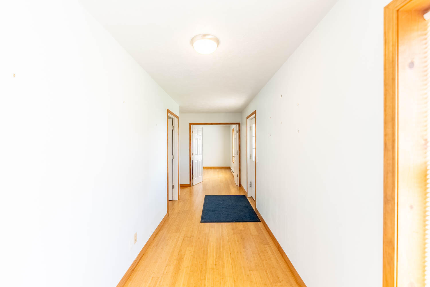 966 Nettleton Avenue Property Photo 25