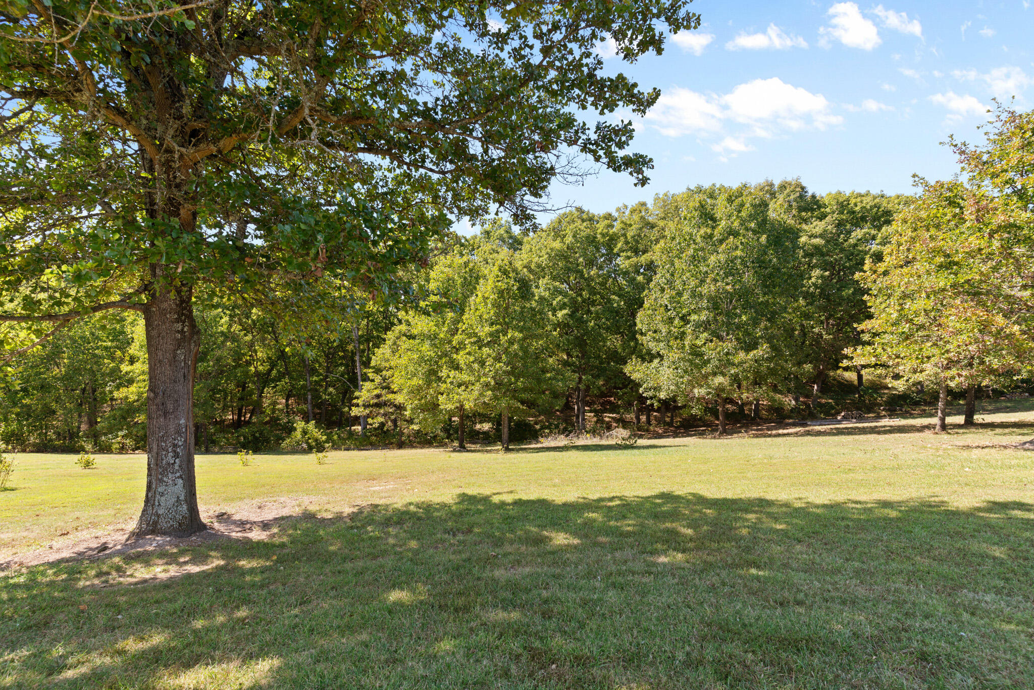159 Moody Ridge Road Property Photo 39