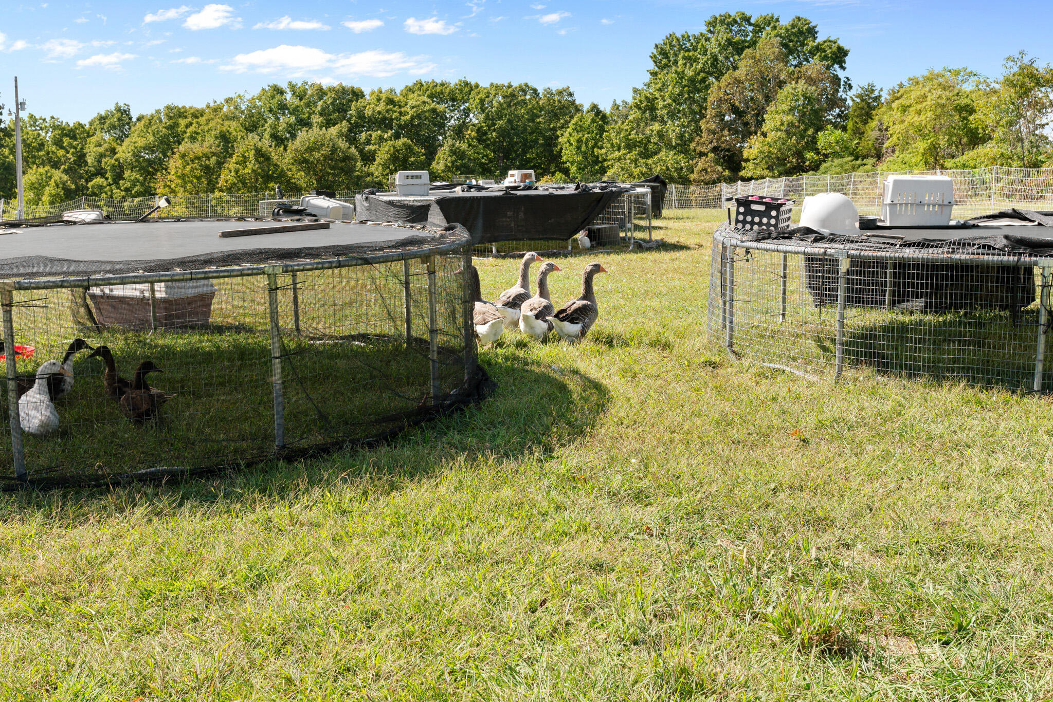 159 Moody Ridge Road Property Photo 44