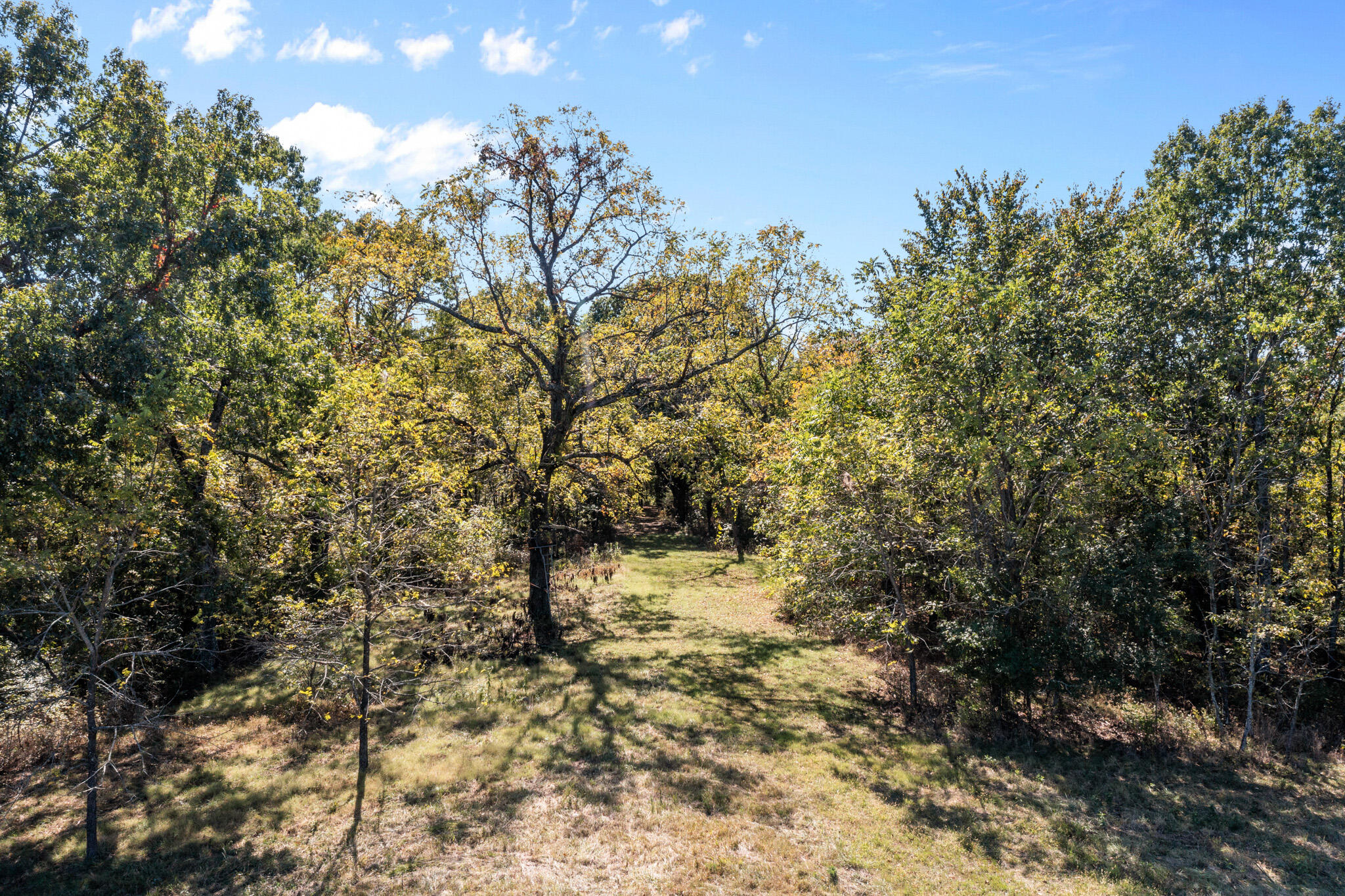 159 Moody Ridge Road Property Photo 74