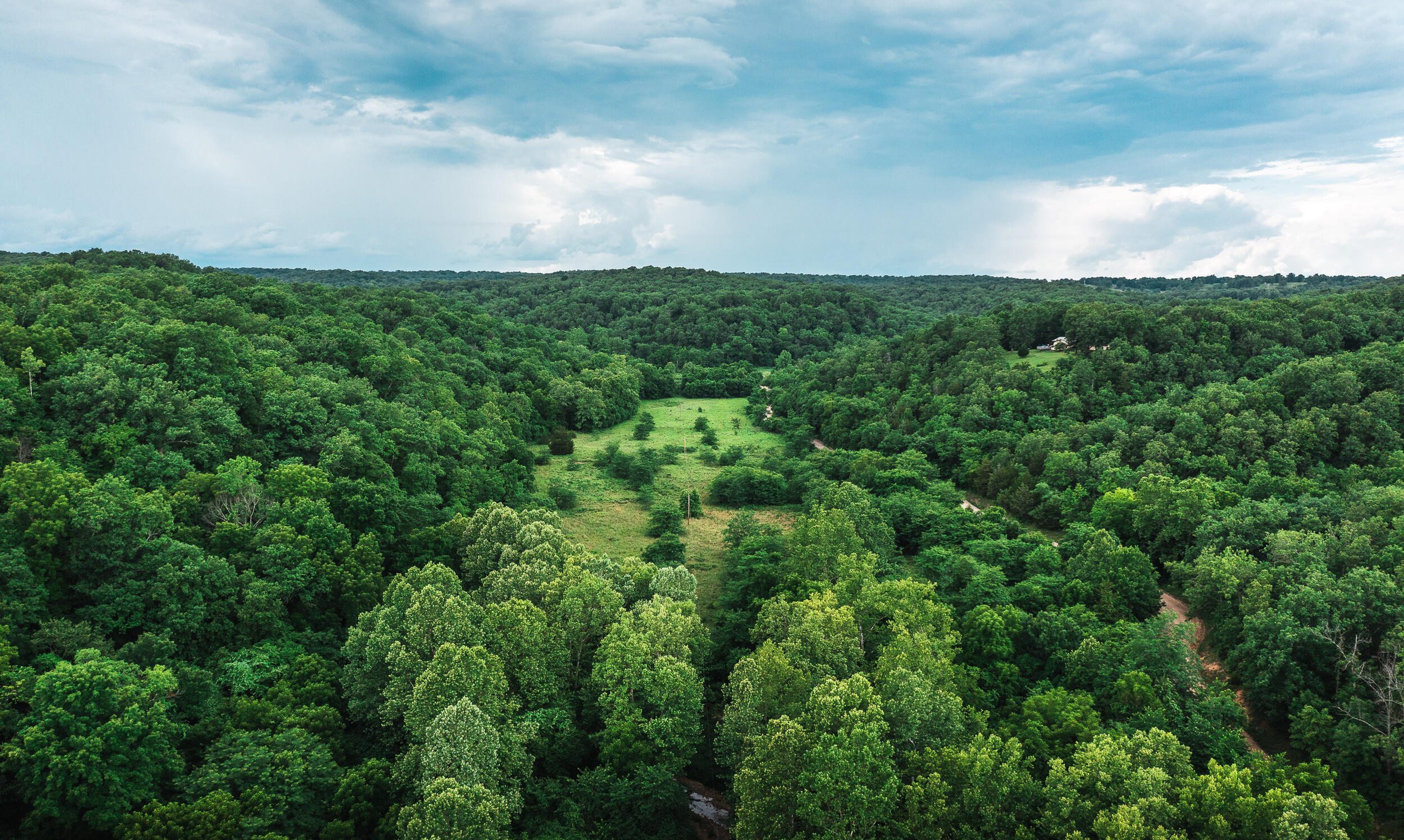 321 Horse Creek Ranch Road Property Photo 21
