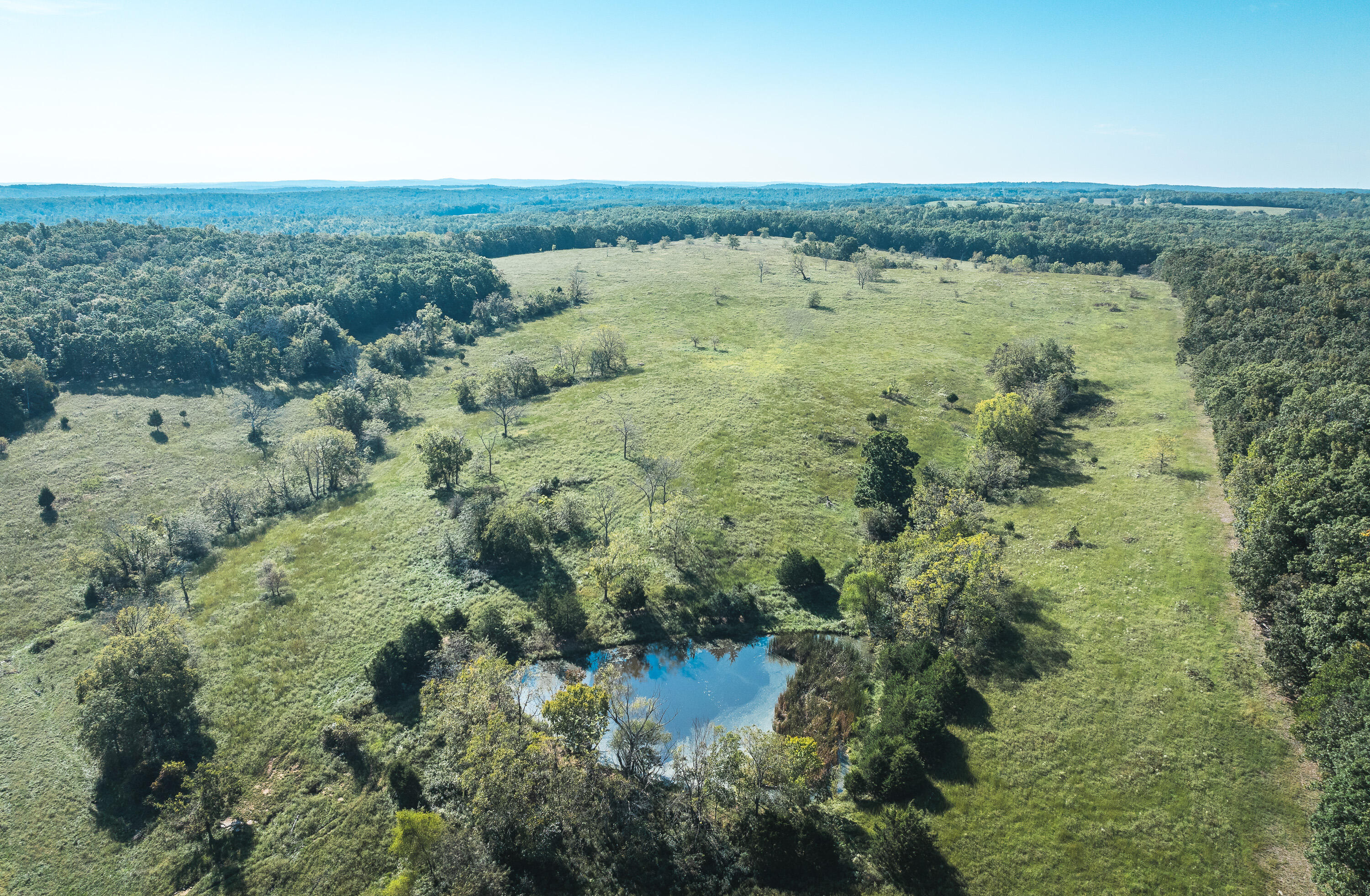 5451 Bado Road Property Photo 12