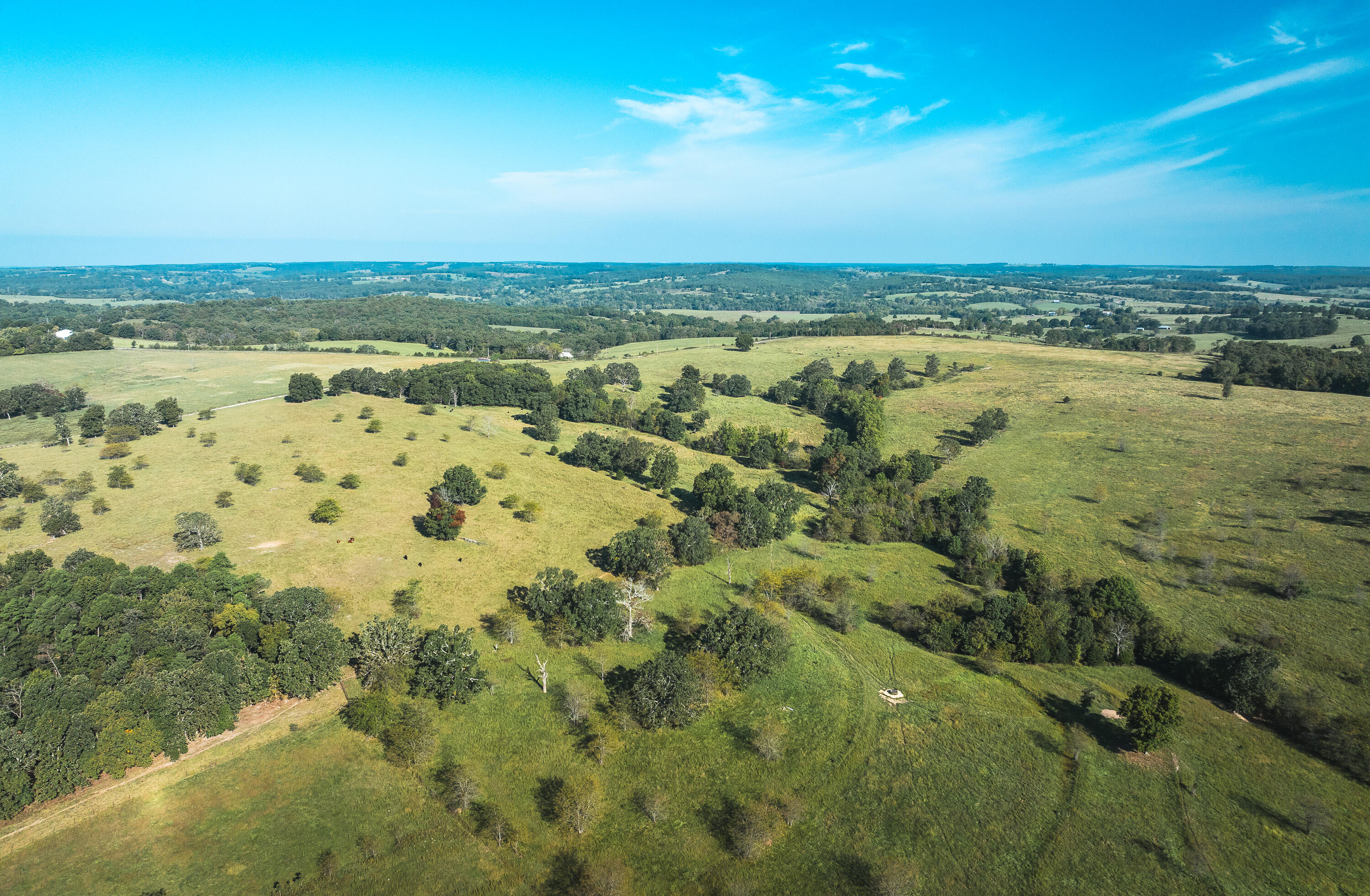 5451 Bado Road Property Photo 37