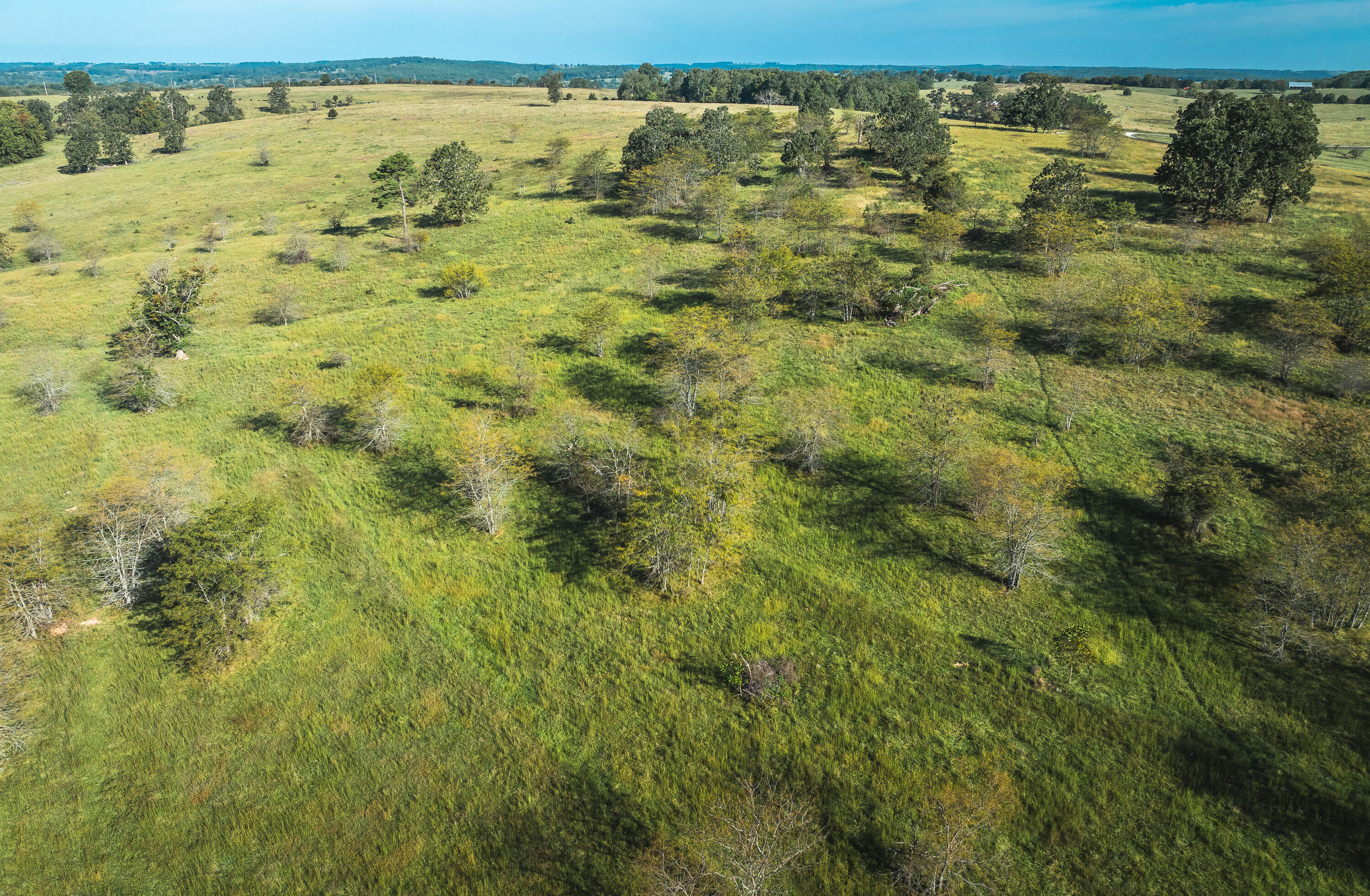5451 Bado Road Property Photo 43