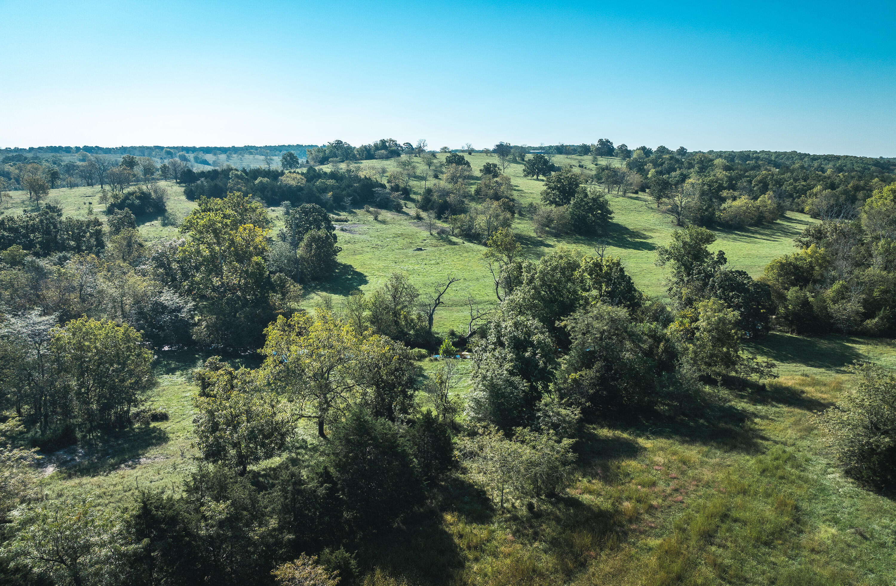 5451 Bado Road Property Photo 51