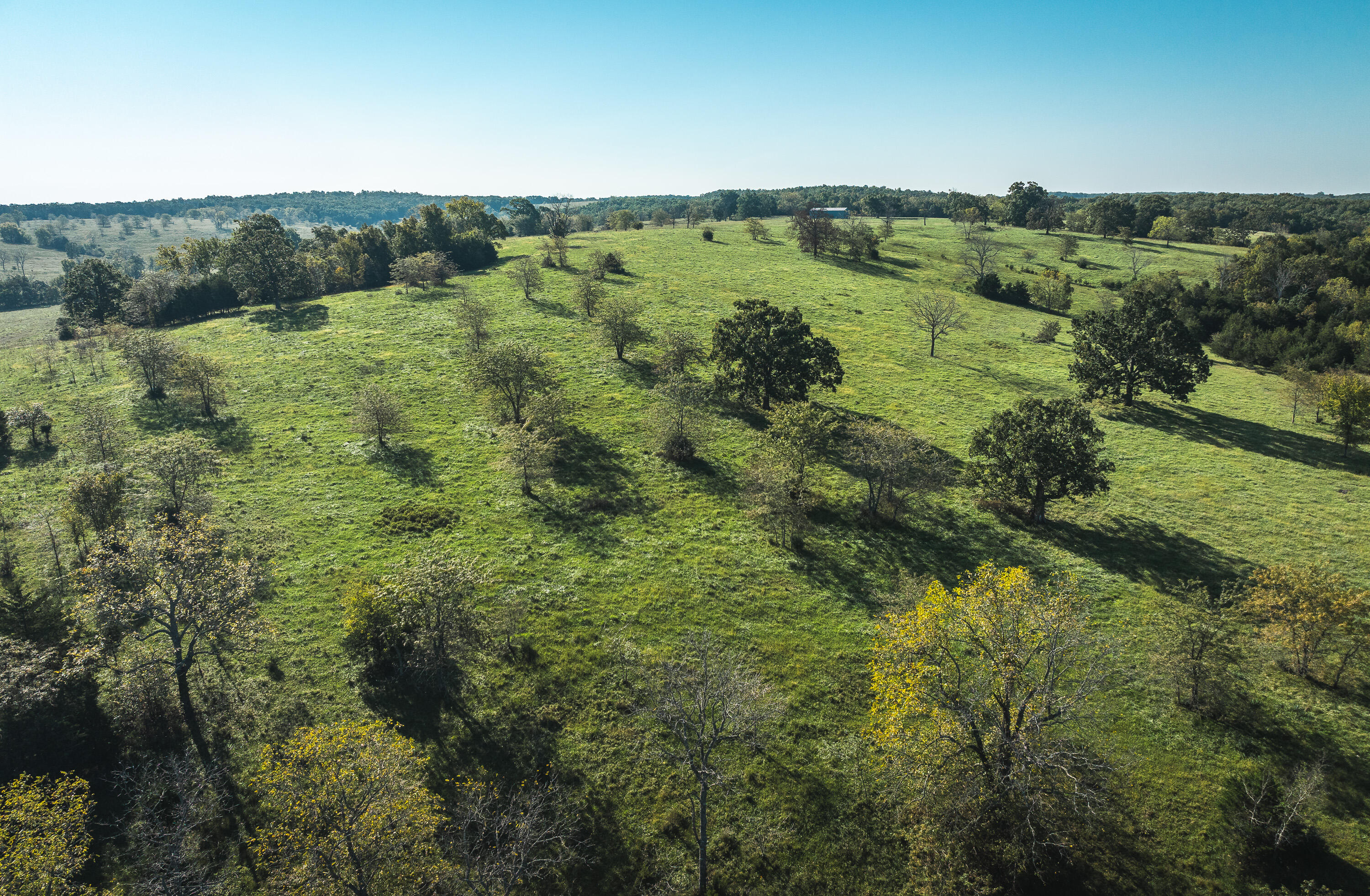 5451 Bado Road Property Photo 54