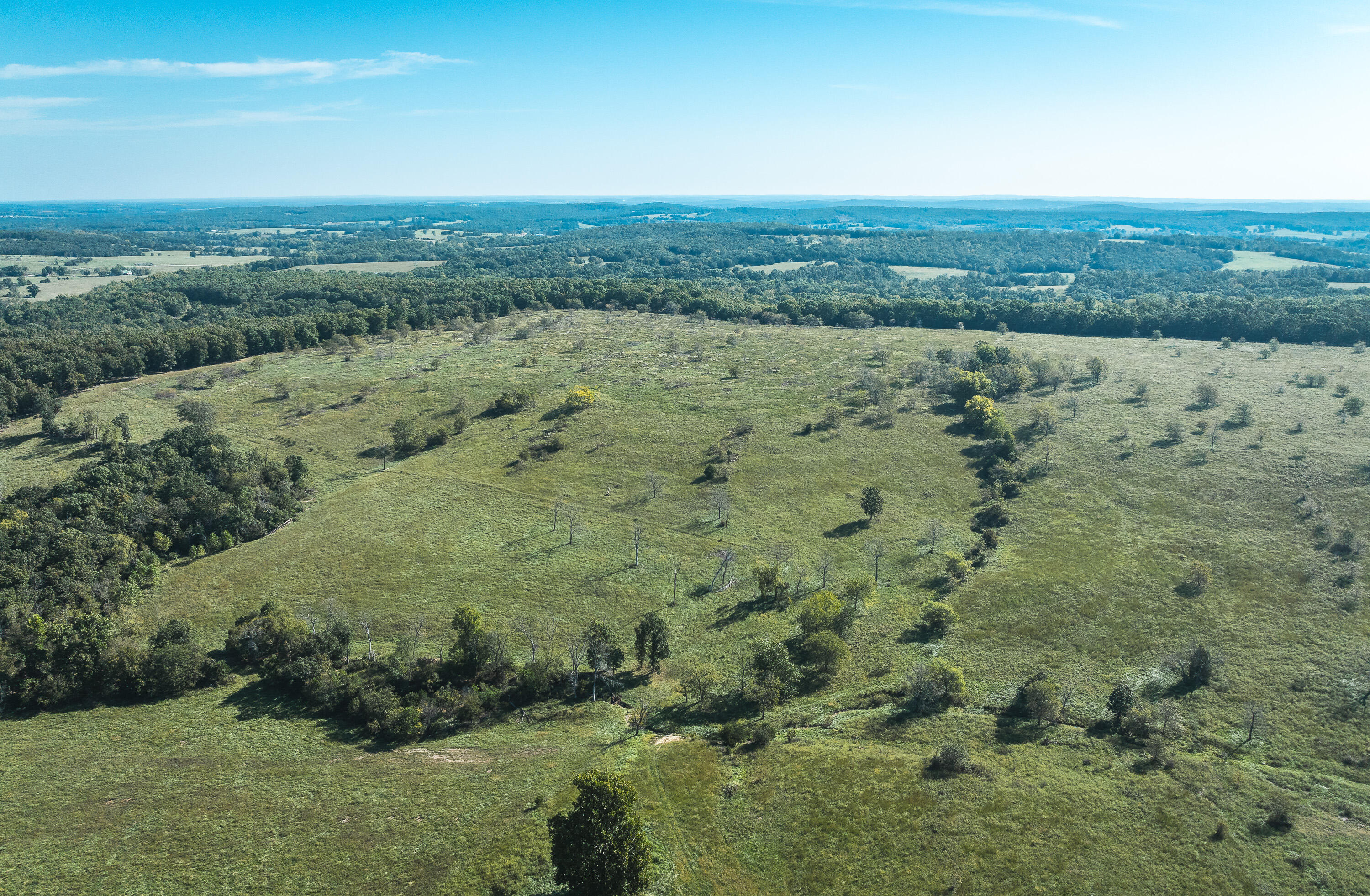 5451 Bado Road Property Photo 66