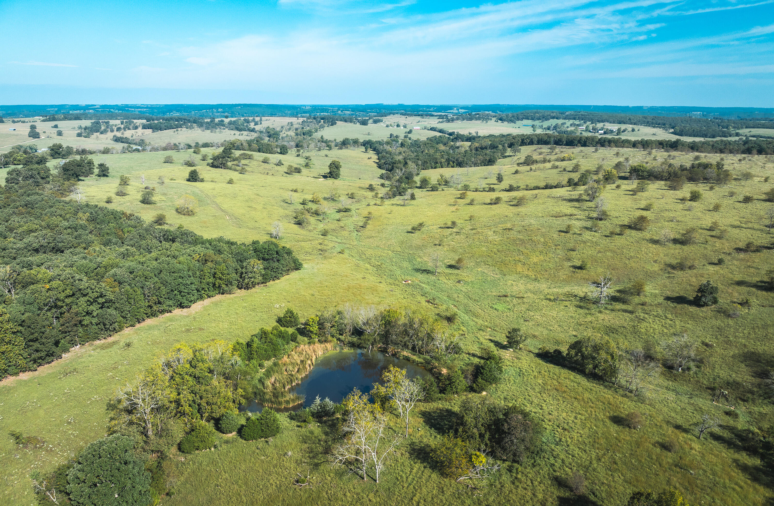 5451 Bado Road Property Photo 70