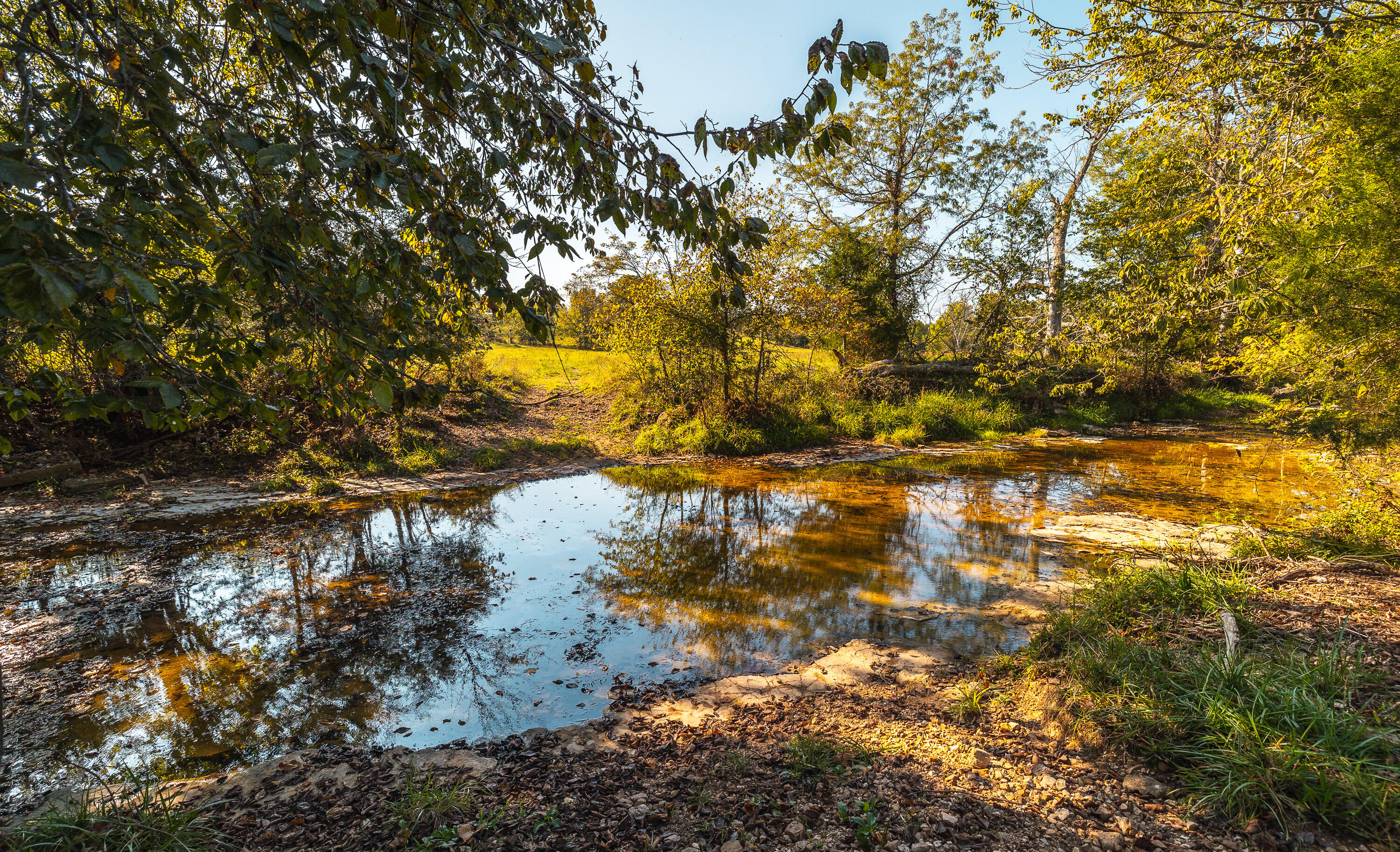 5451 Bado Road Property Photo 83