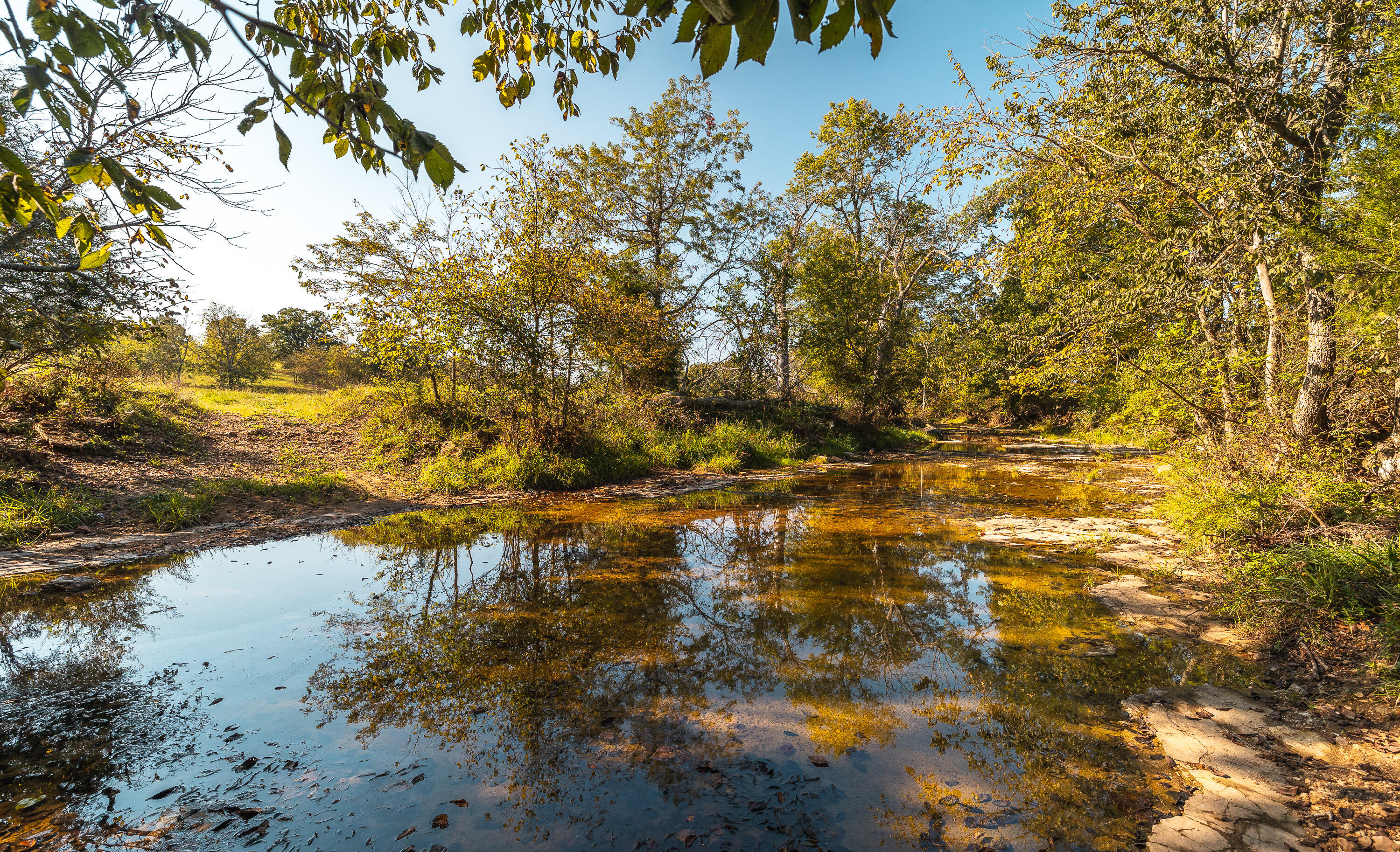 5451 Bado Road Property Photo 84