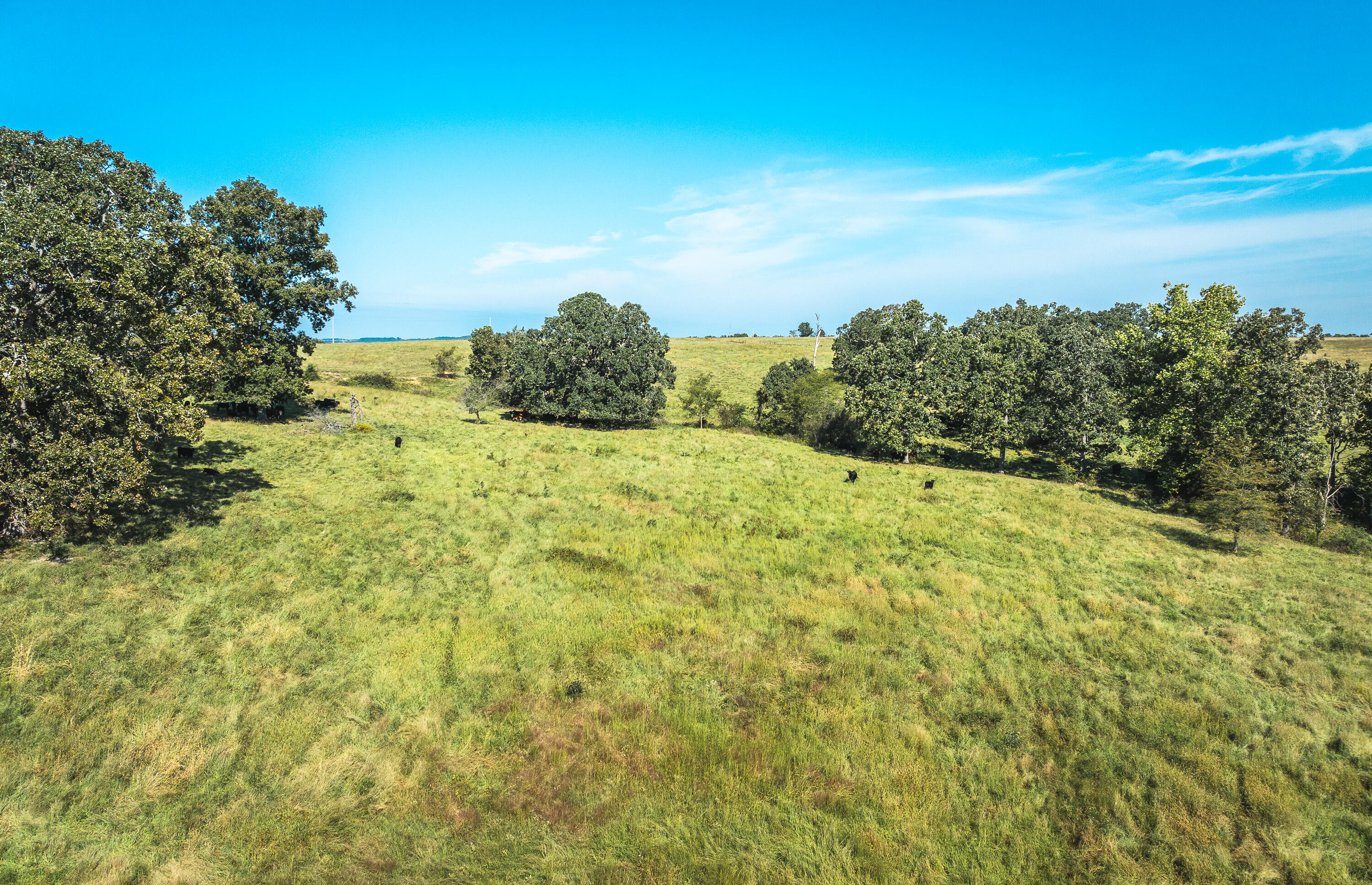 5451 Bado Road Property Photo 88