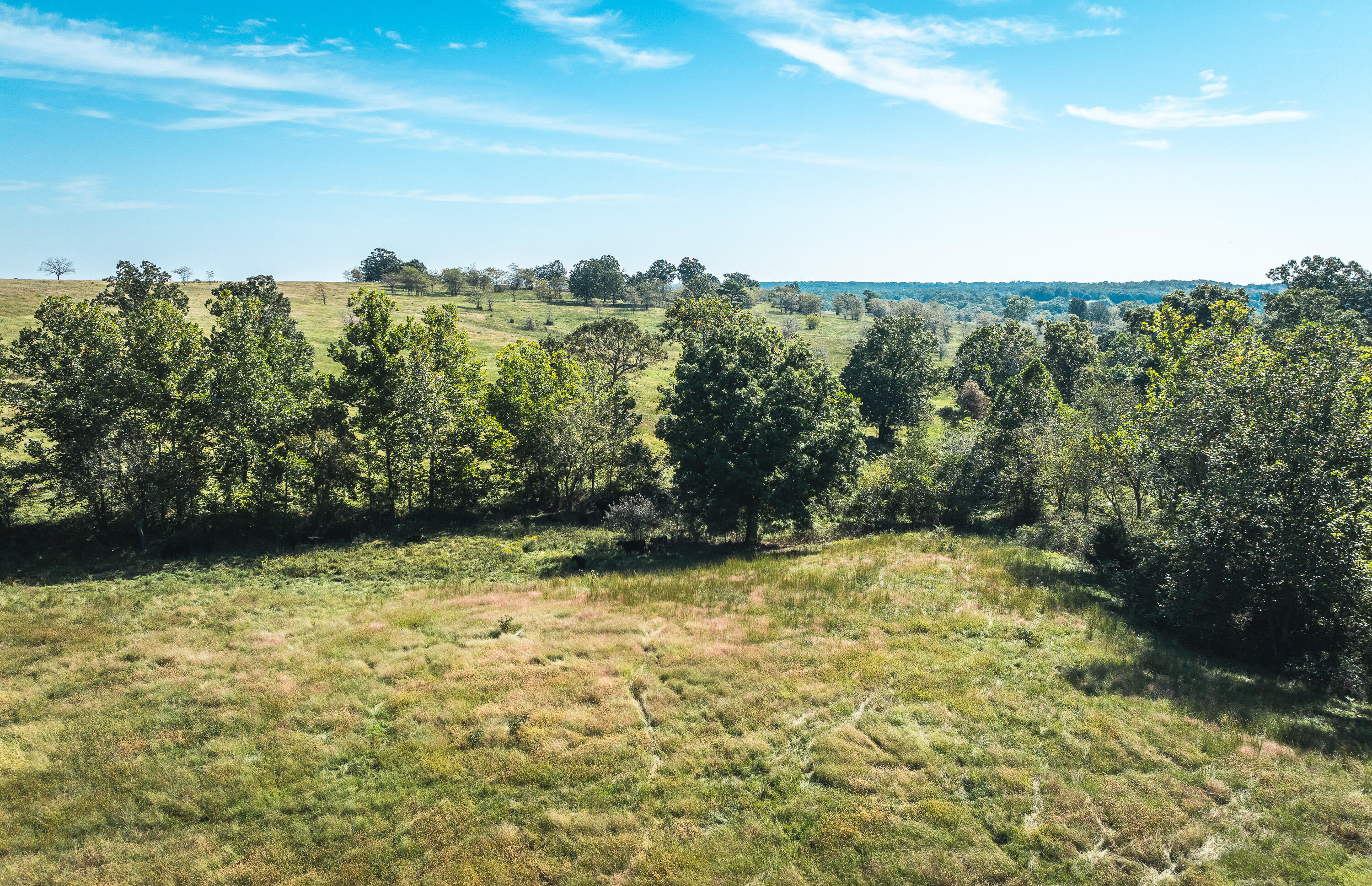 5451 Bado Road Property Photo 89